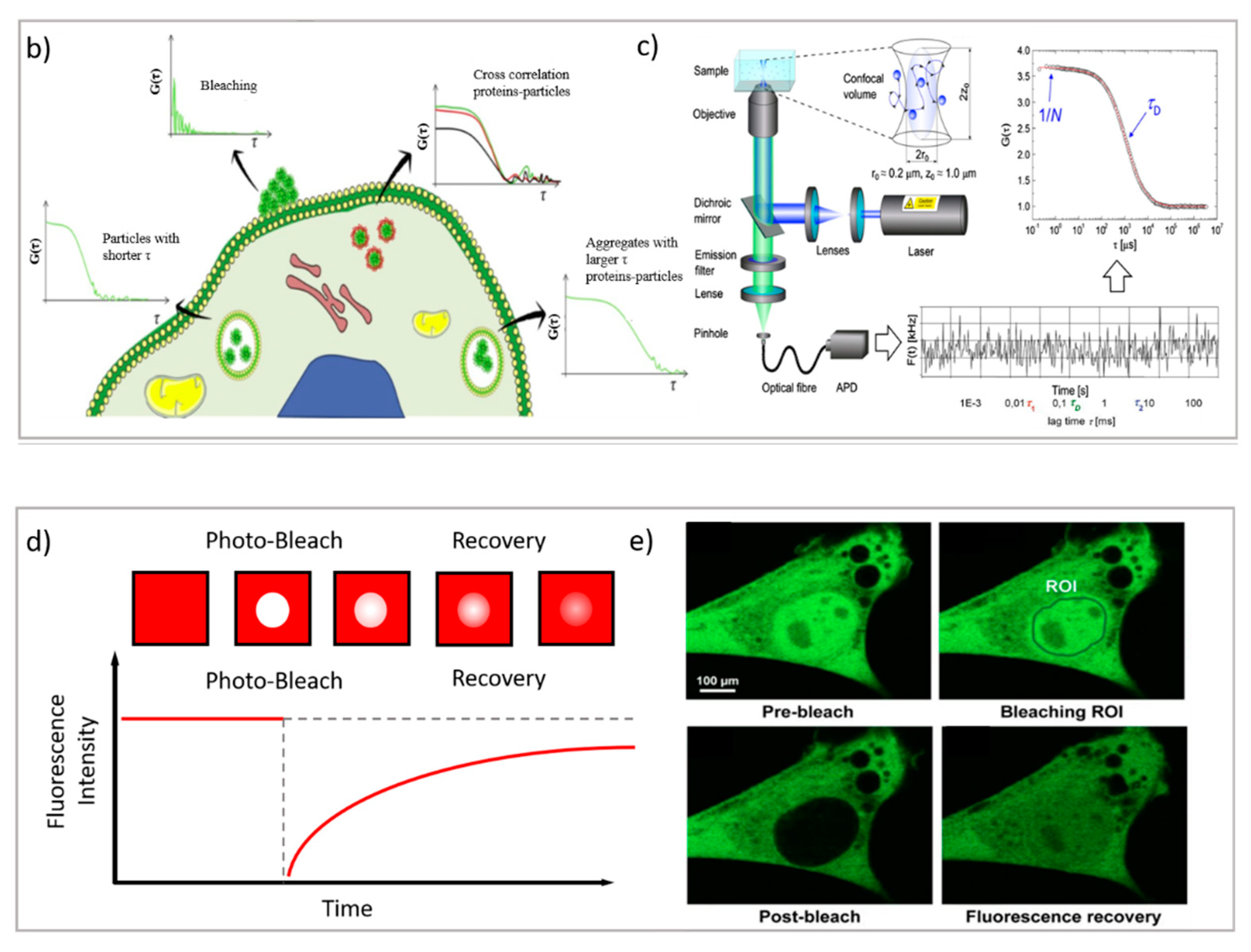 Pharmaceutics 13 00861 g003b Pharmaceutics 13 00861 g003b