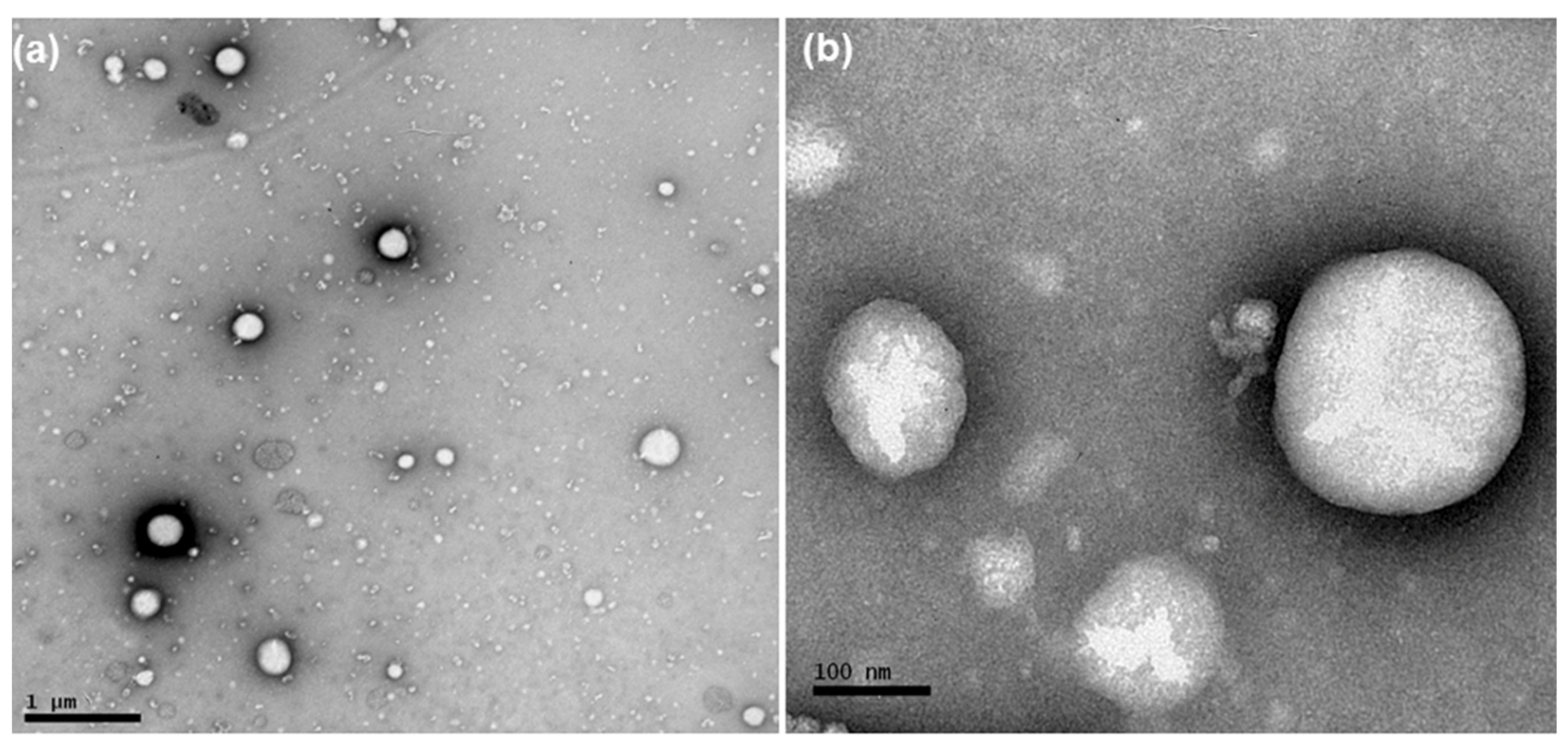 Pharmaceutics 13 00862 g001 Pharmaceutics 13 00862 g001