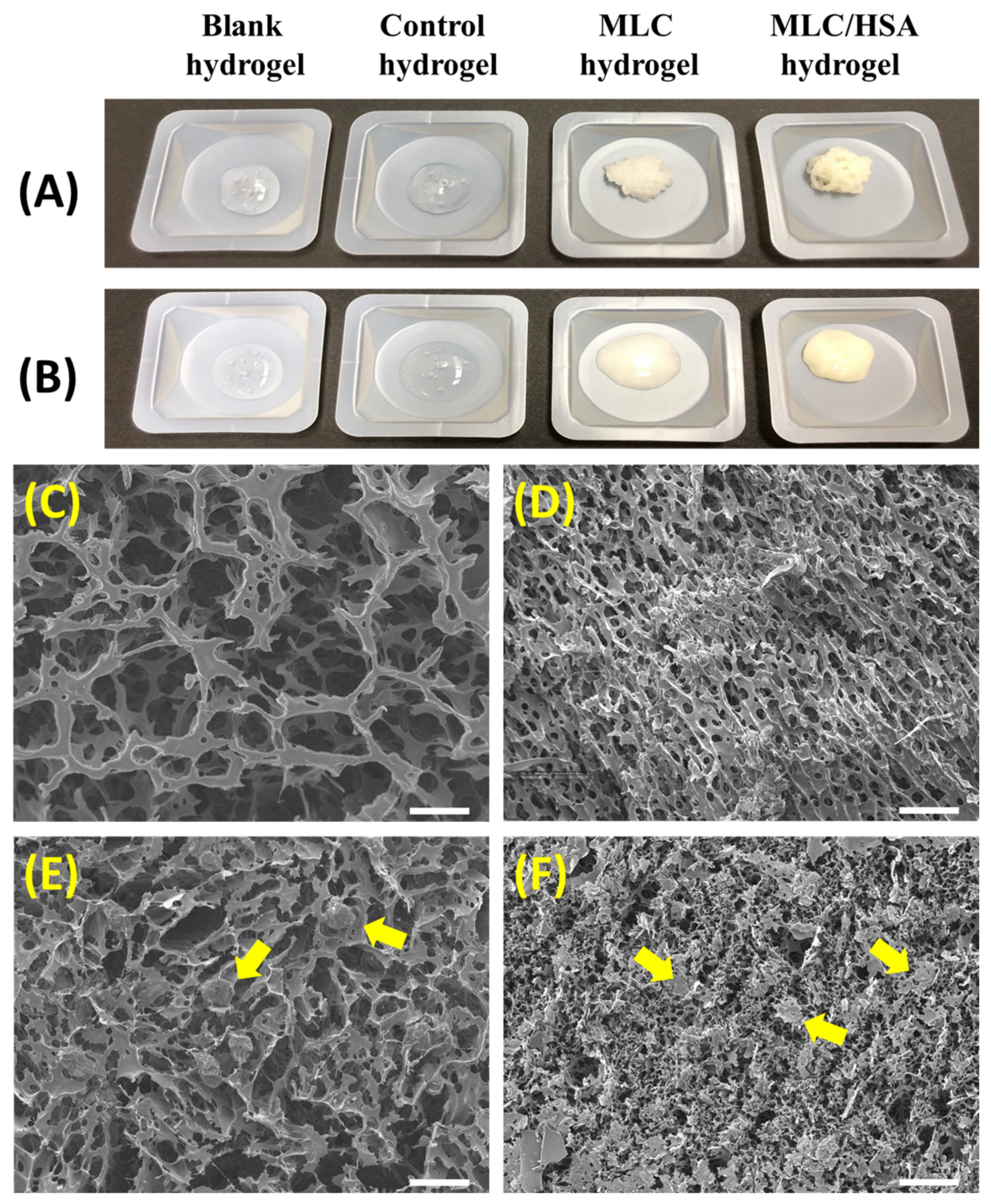 Pharmaceutics 13 00864 g003