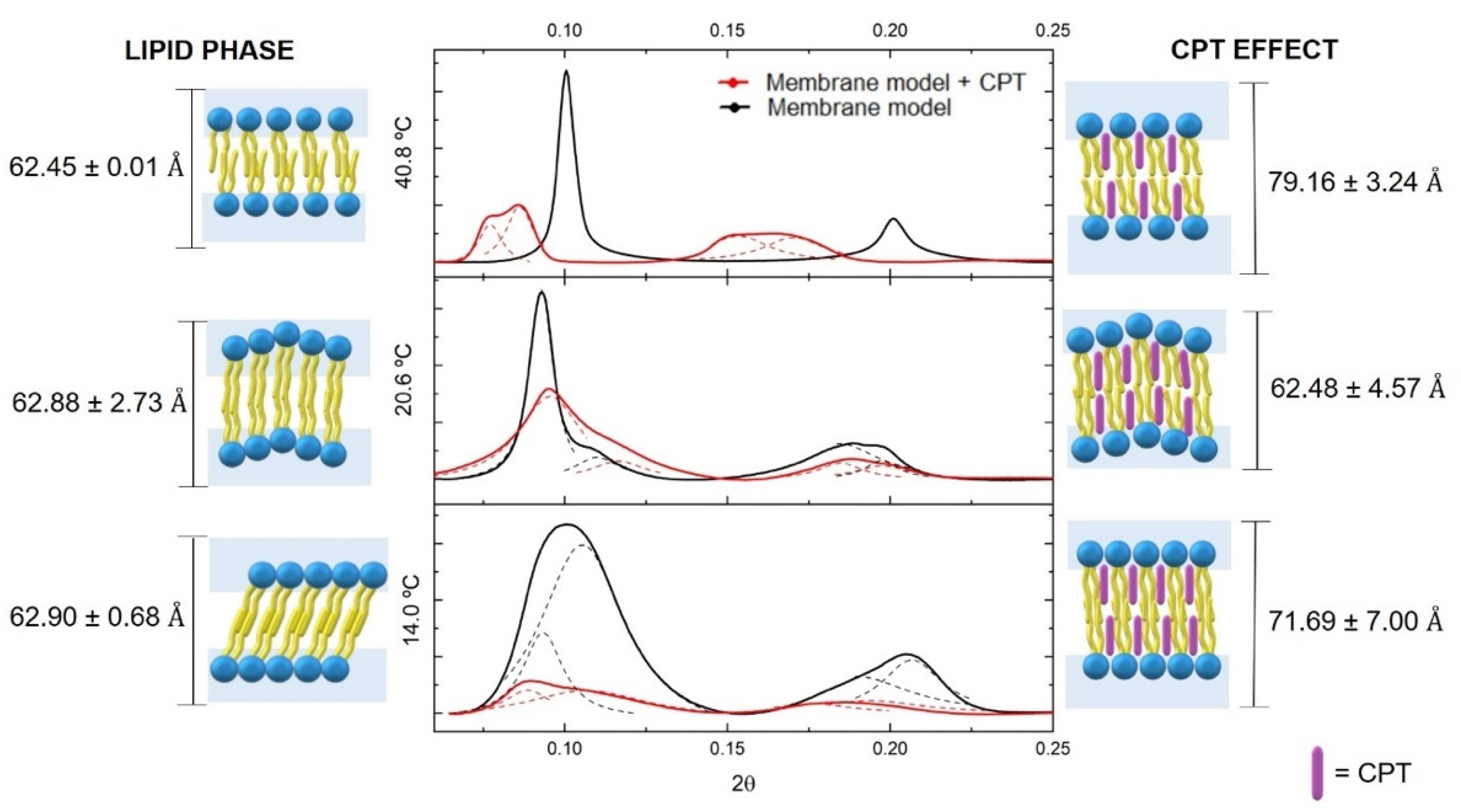 Pharmaceutics 13 00869 g006 Pharmaceutics 13 00869 g006