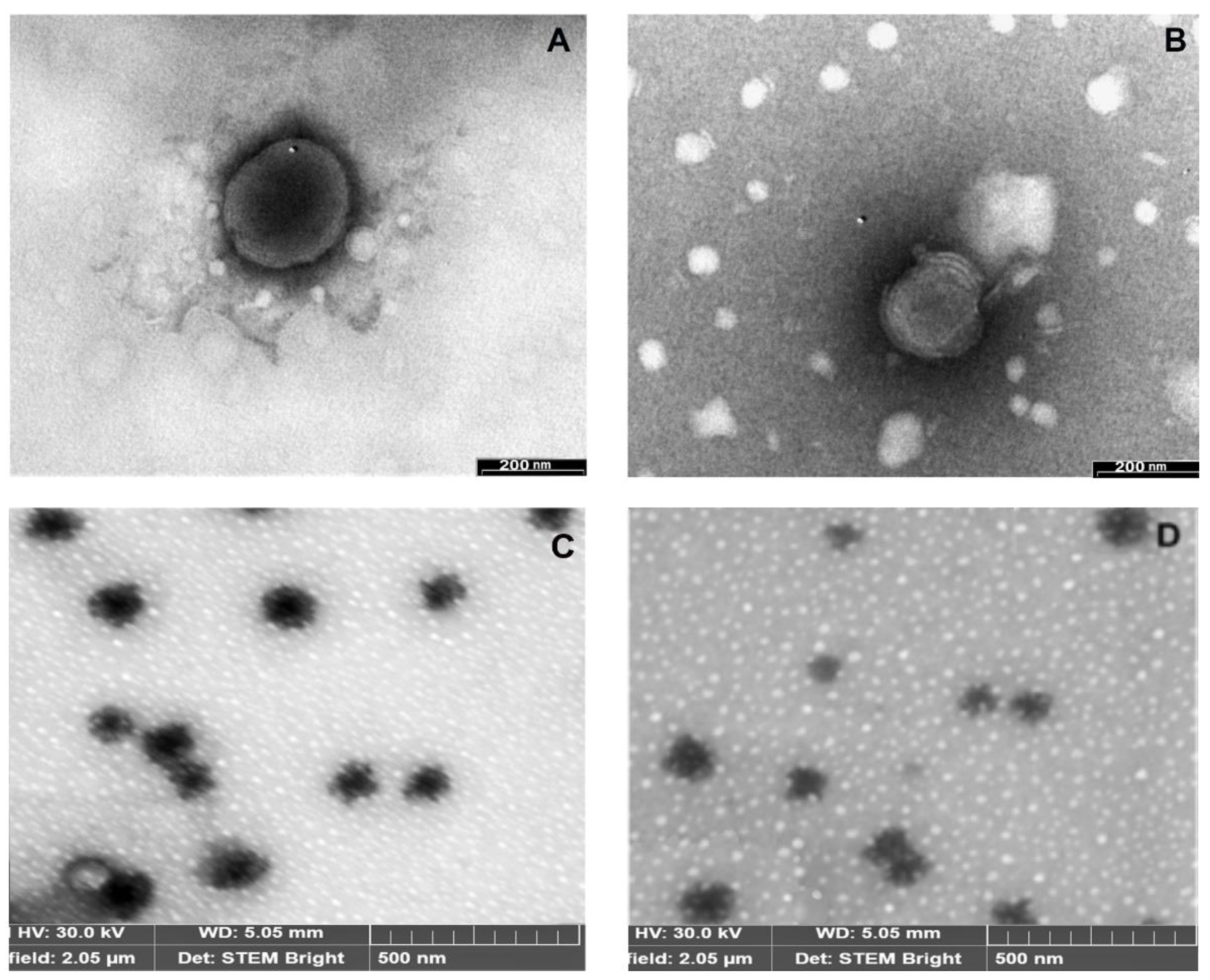 Pharmaceutics 13 00872 g004 Pharmaceutics 13 00872 g004