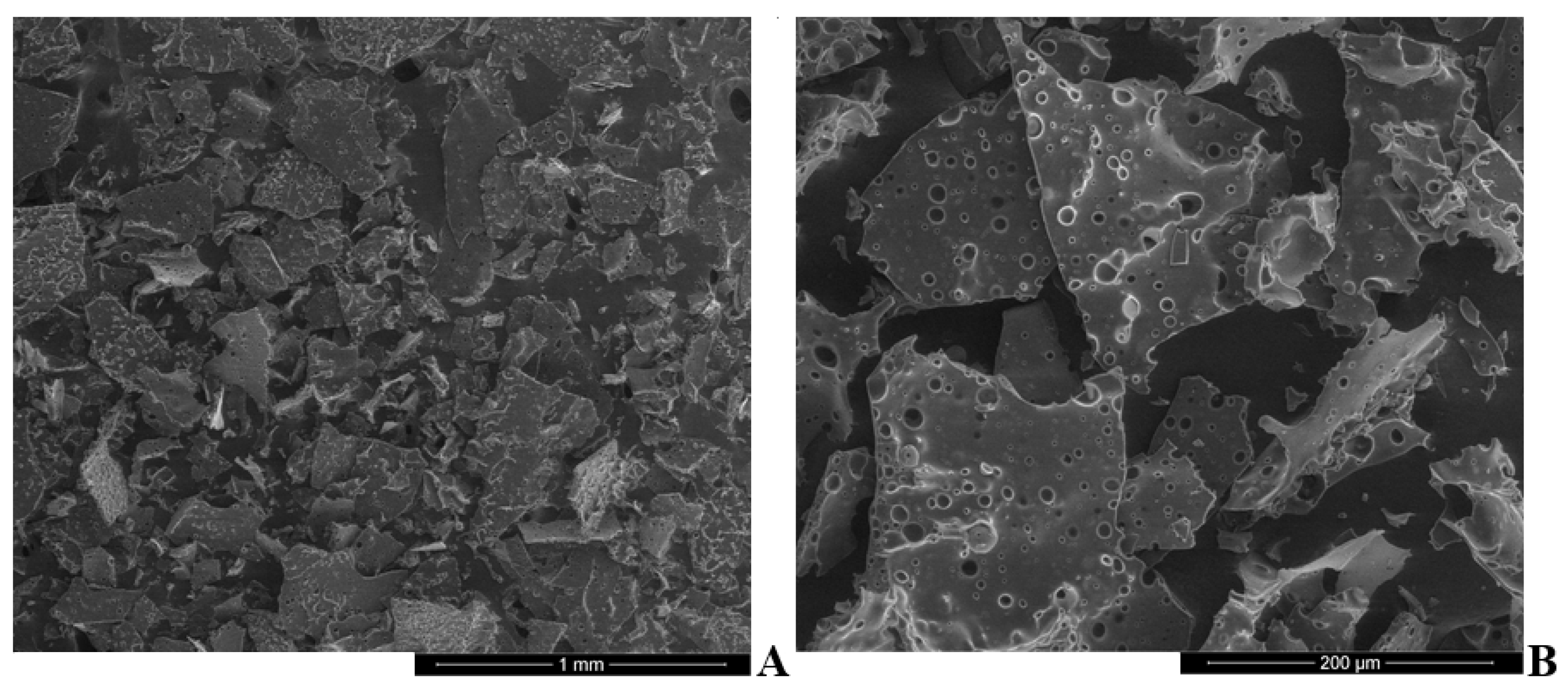 Pharmaceutics 13 00873 g002