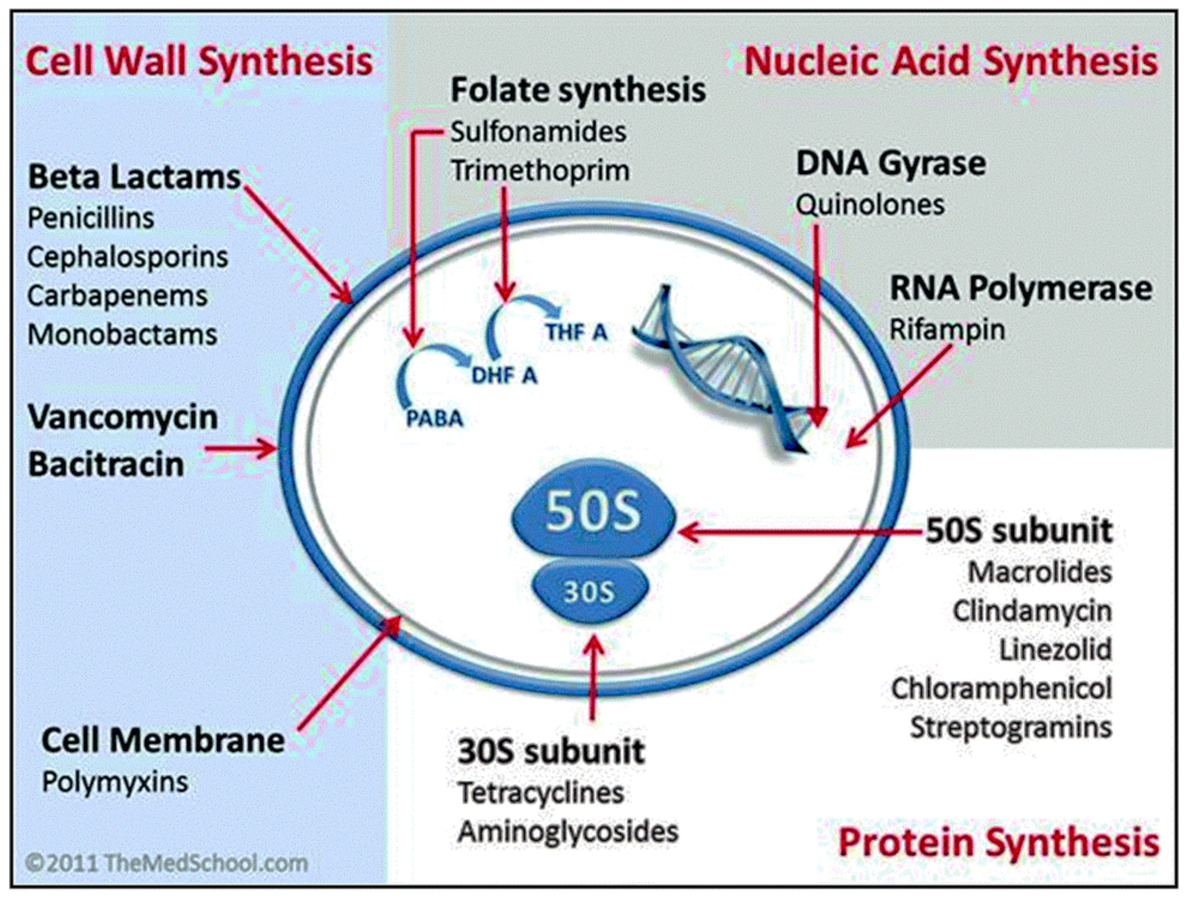 Pharmaceutics 13 00874 g002