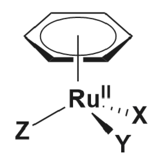 Pharmaceutics 13 00874 g009