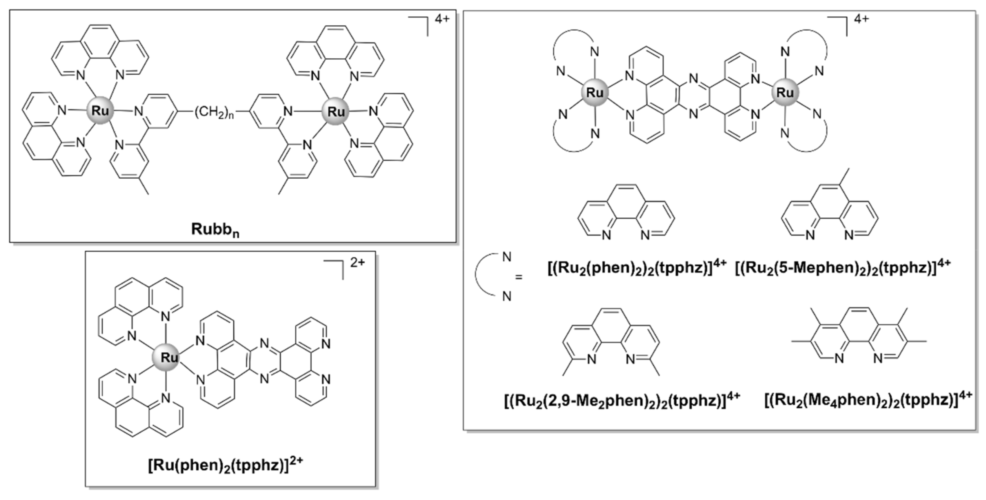 Pharmaceutics 13 00874 g013