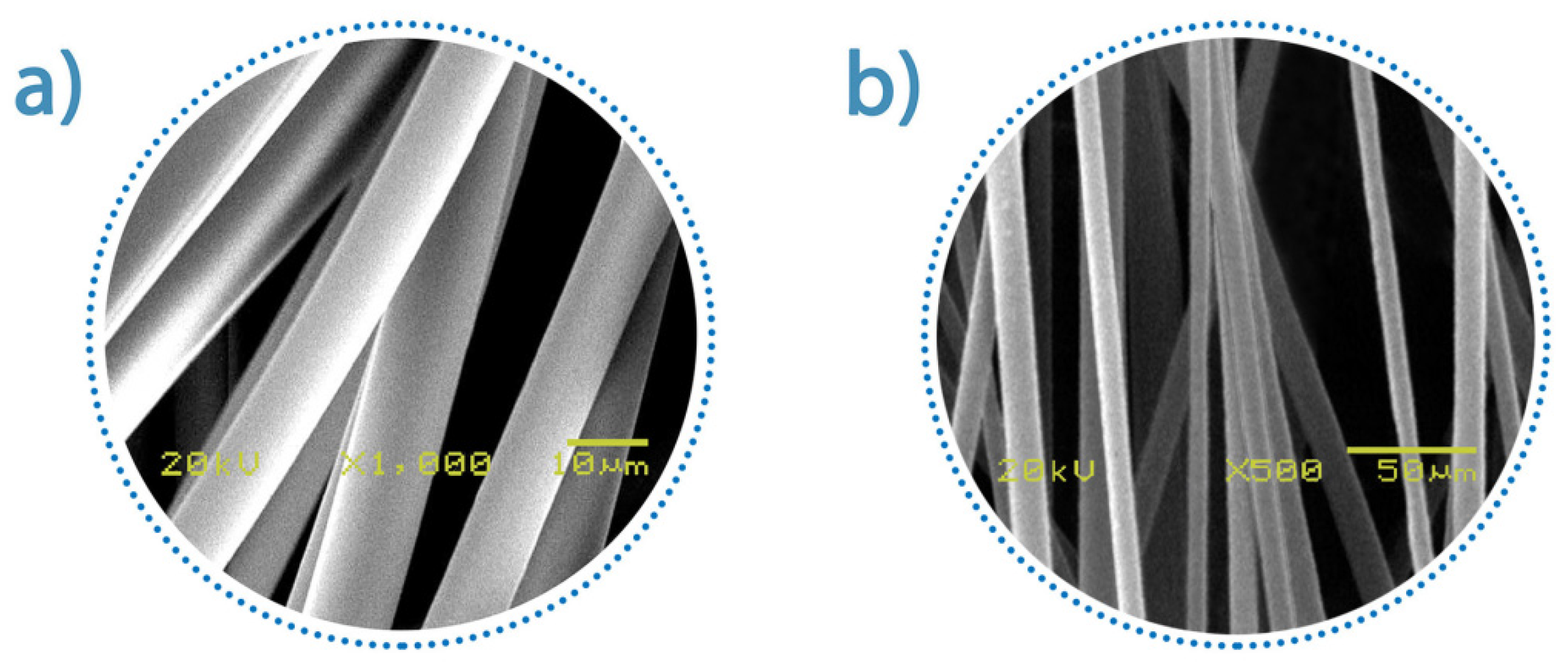 Pharmaceutics 13 00875 g004
