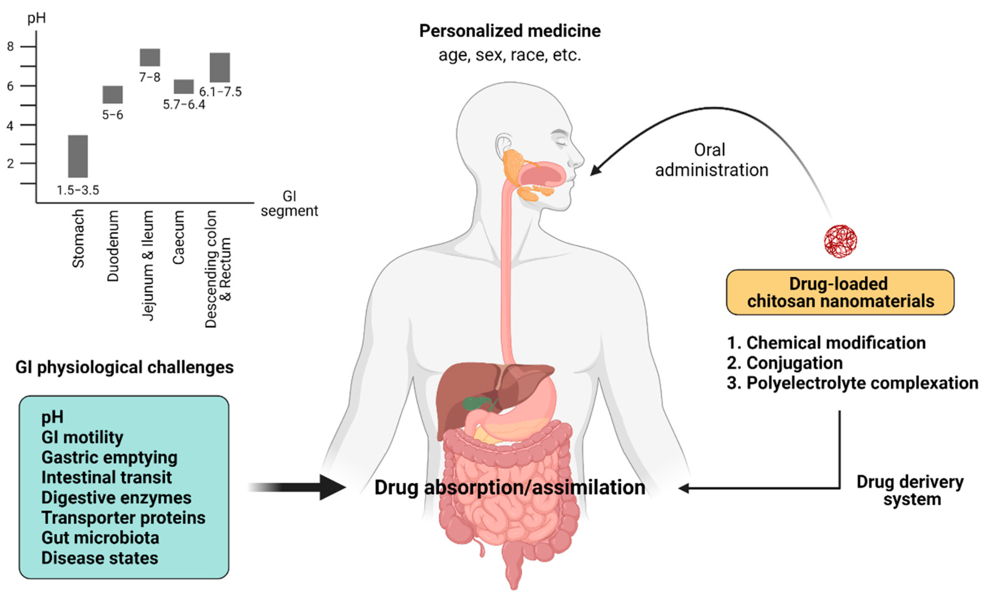 Potential Applications of Chitosan-Based Nanomaterials to