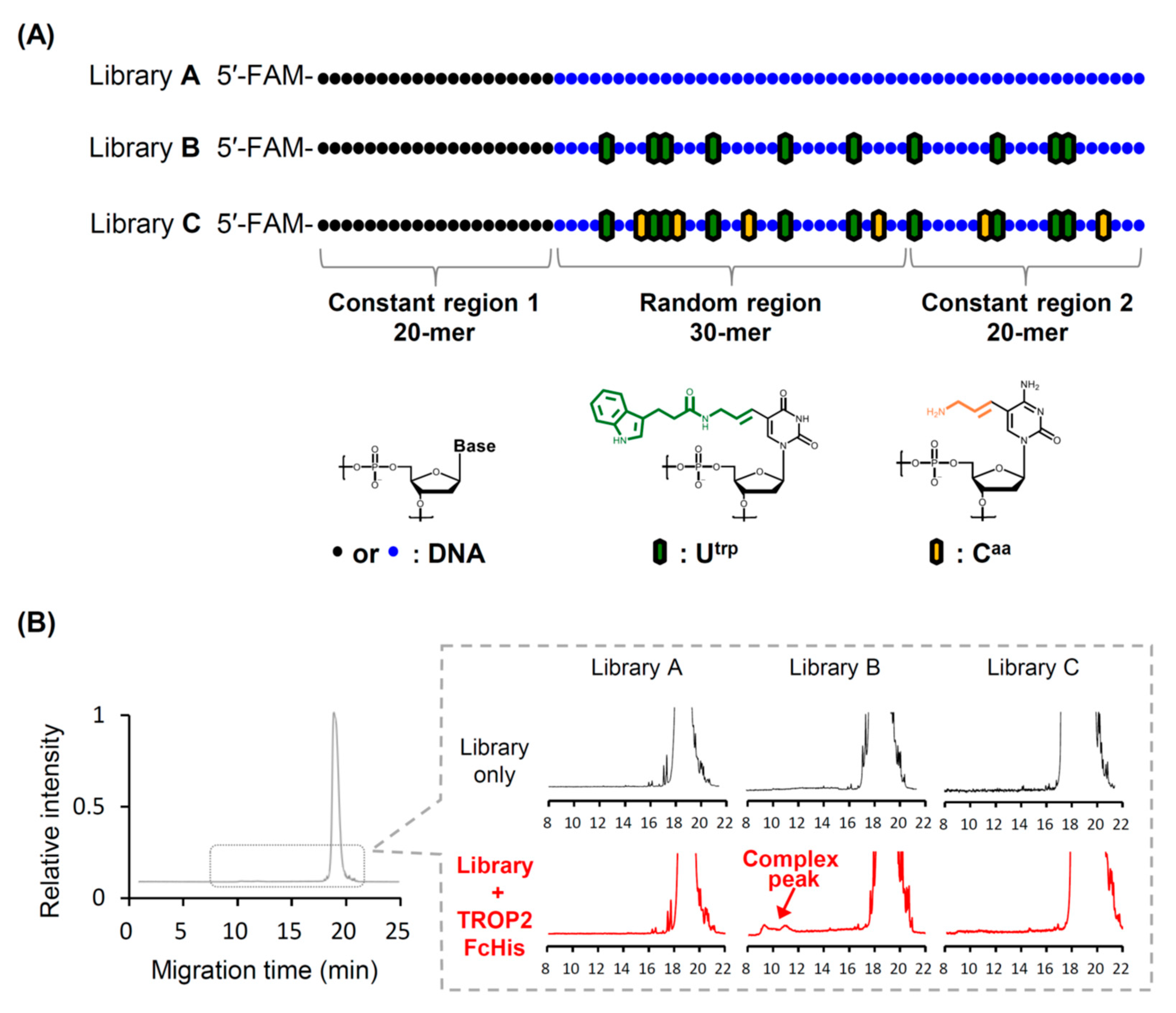 Pharmaceutics 13 00888 g001 Pharmaceutics 13 00888 g001