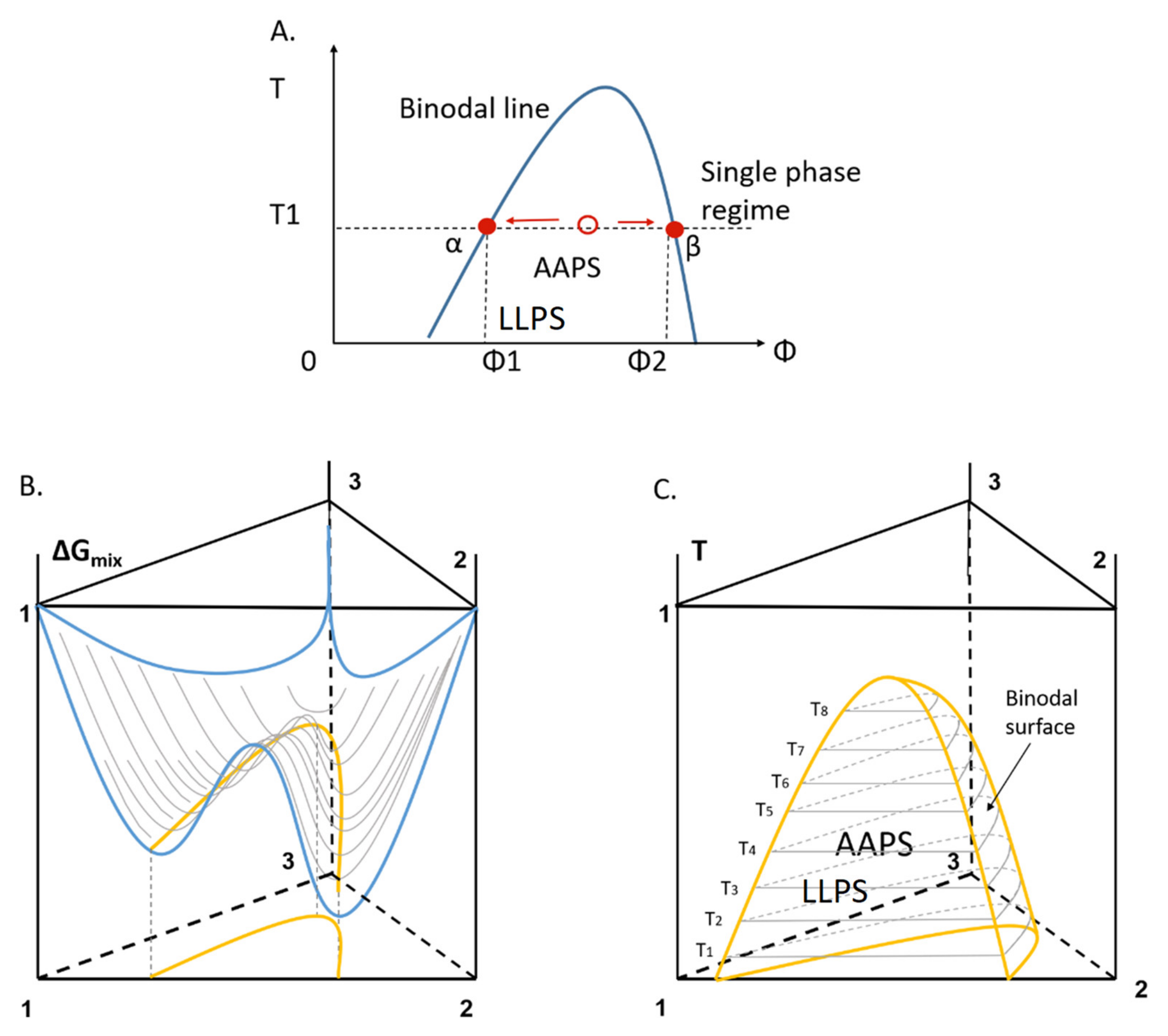 Pharmaceutics 13 00889 g002