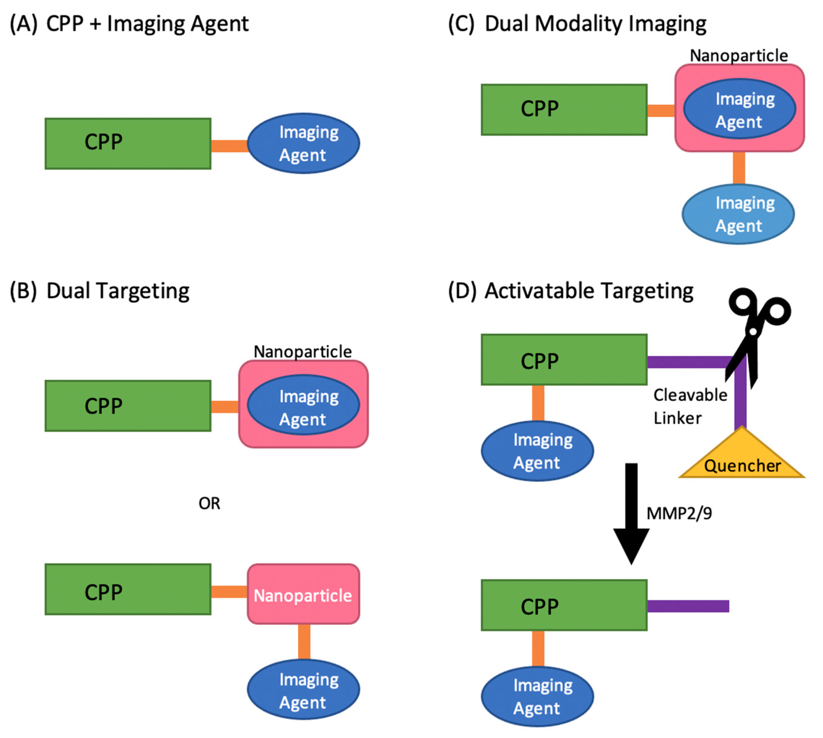 Pharmaceutics 13 00890 g001