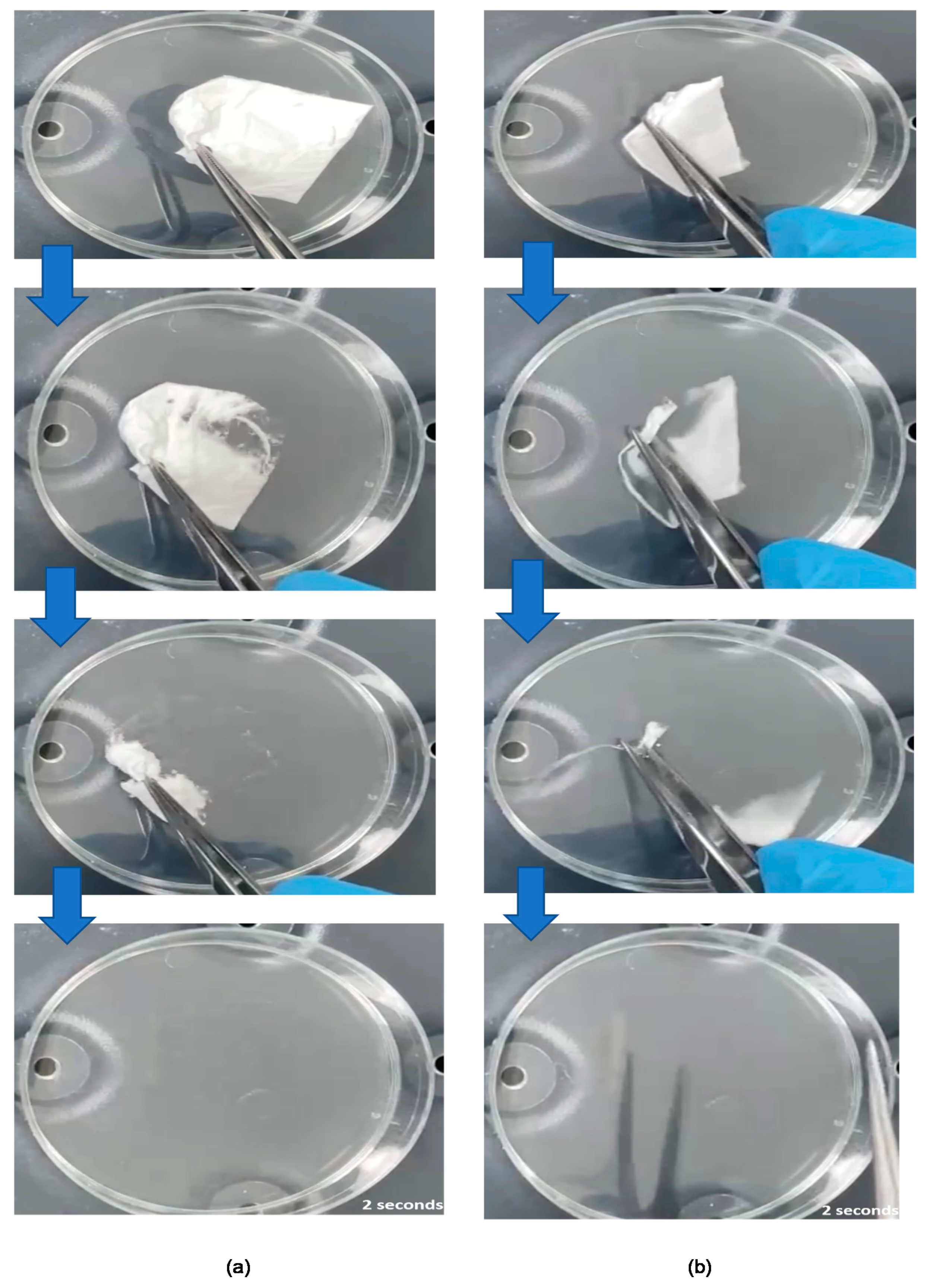 Pharmaceutics 13 00891 g006 Pharmaceutics 13 00891 g006