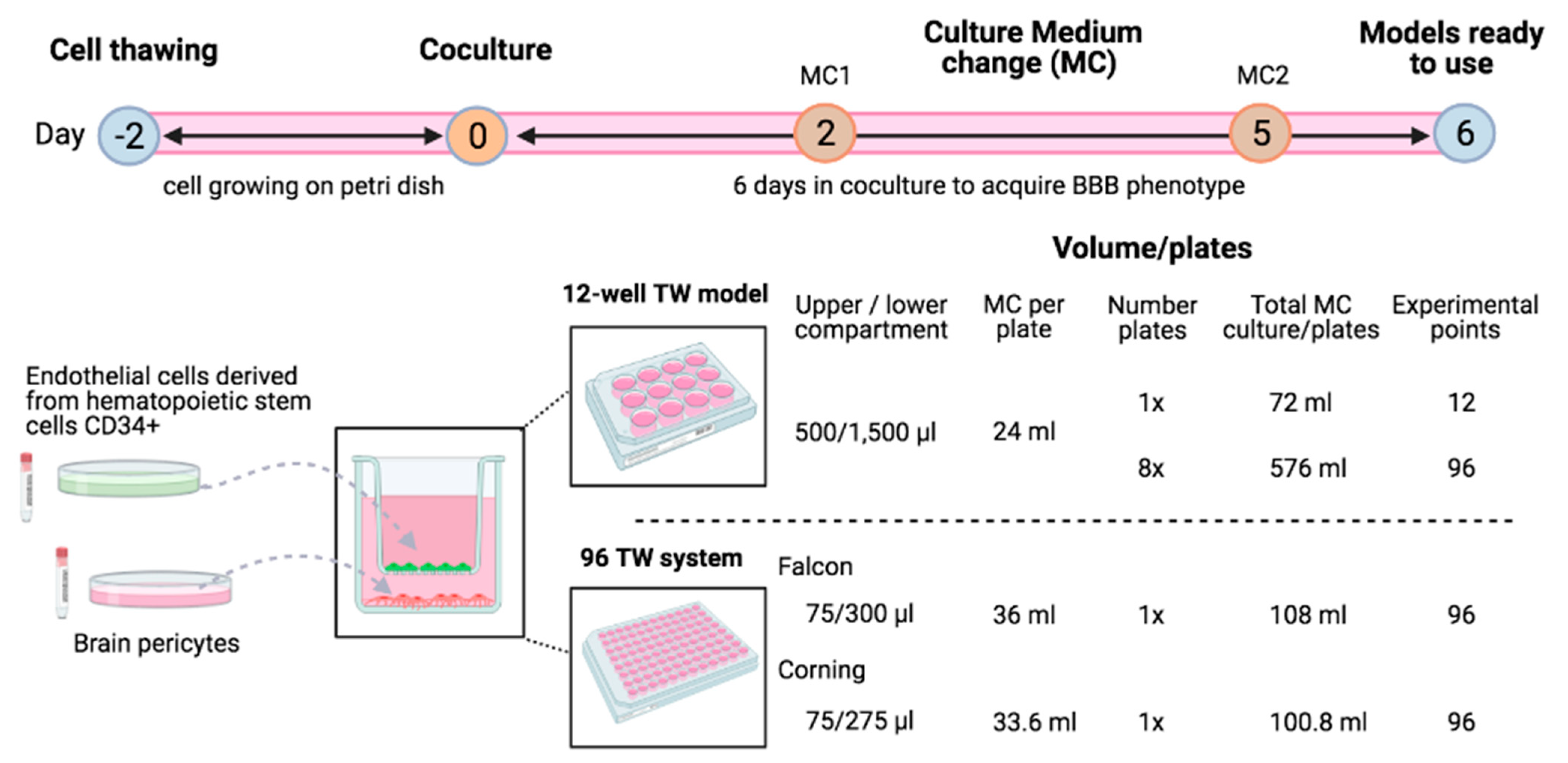 Pharmaceutics 13 00892 g001 Pharmaceutics 13 00892 g001