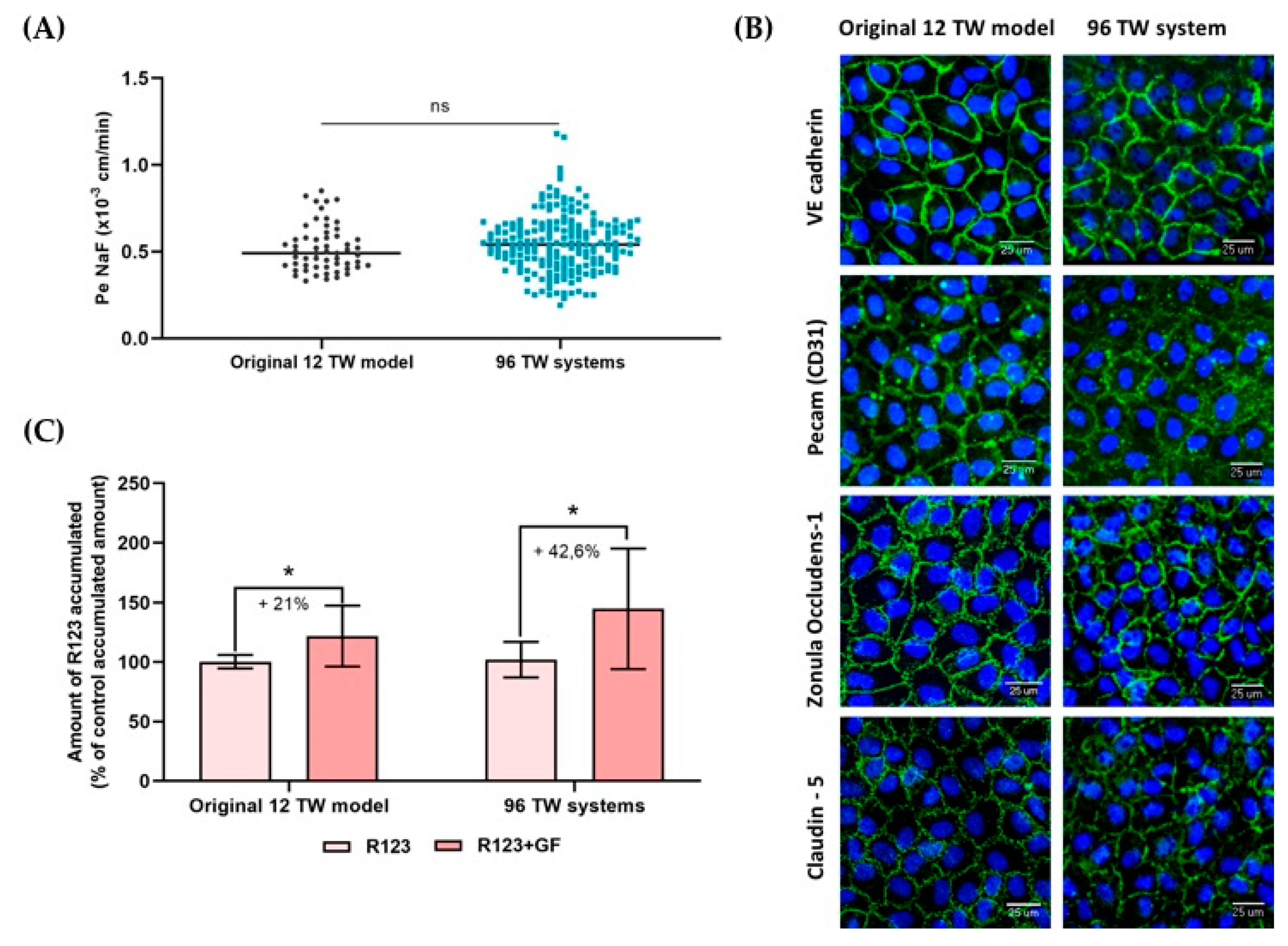 Pharmaceutics 13 00892 g005 Pharmaceutics 13 00892 g005