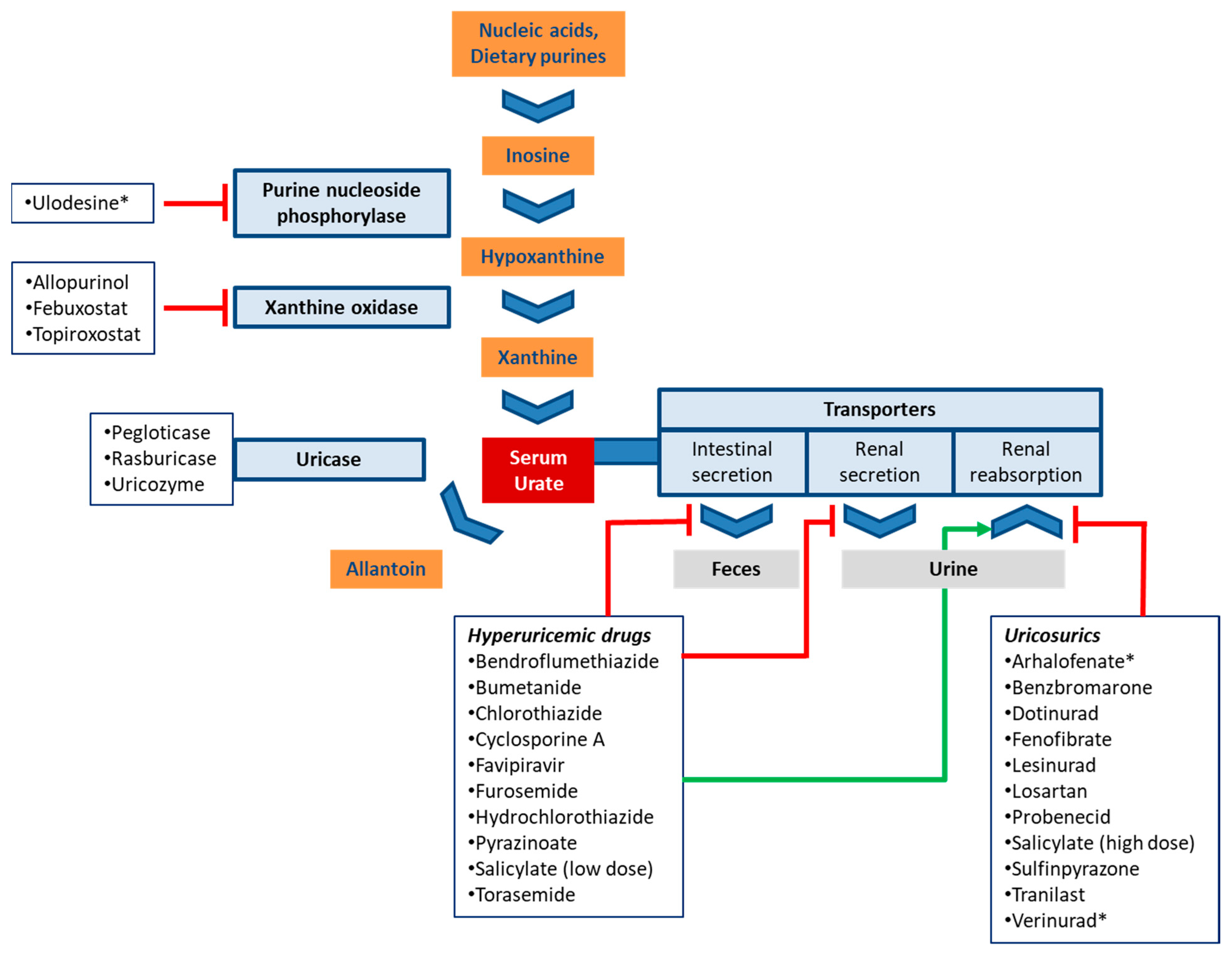 Pharmaceutics 13 00899 g001 Pharmaceutics 13 00899 g001