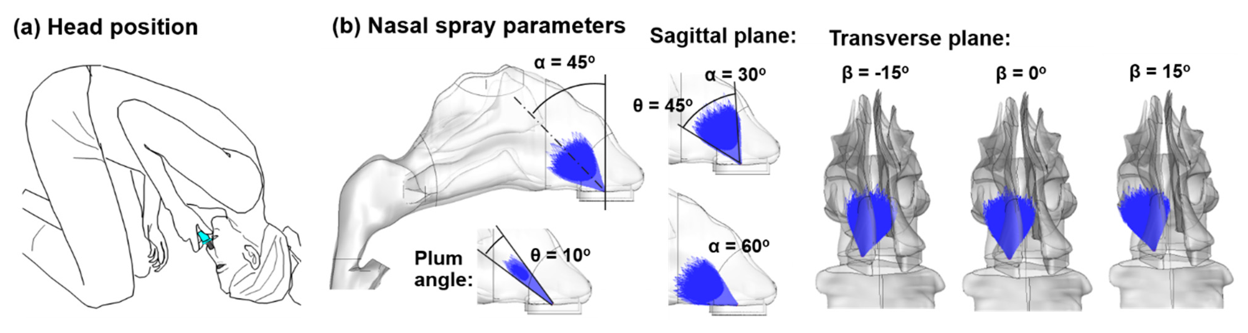 Pharmaceutics 13 00903 g002 Pharmaceutics 13 00903 g002