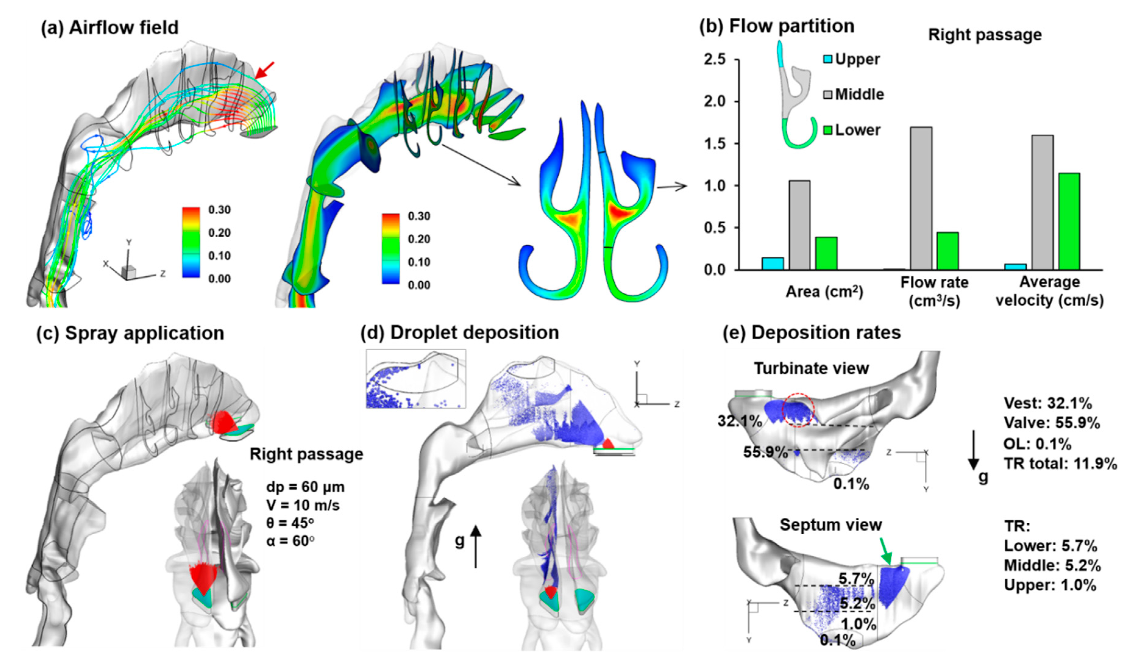 Pharmaceutics 13 00903 g004 Pharmaceutics 13 00903 g004