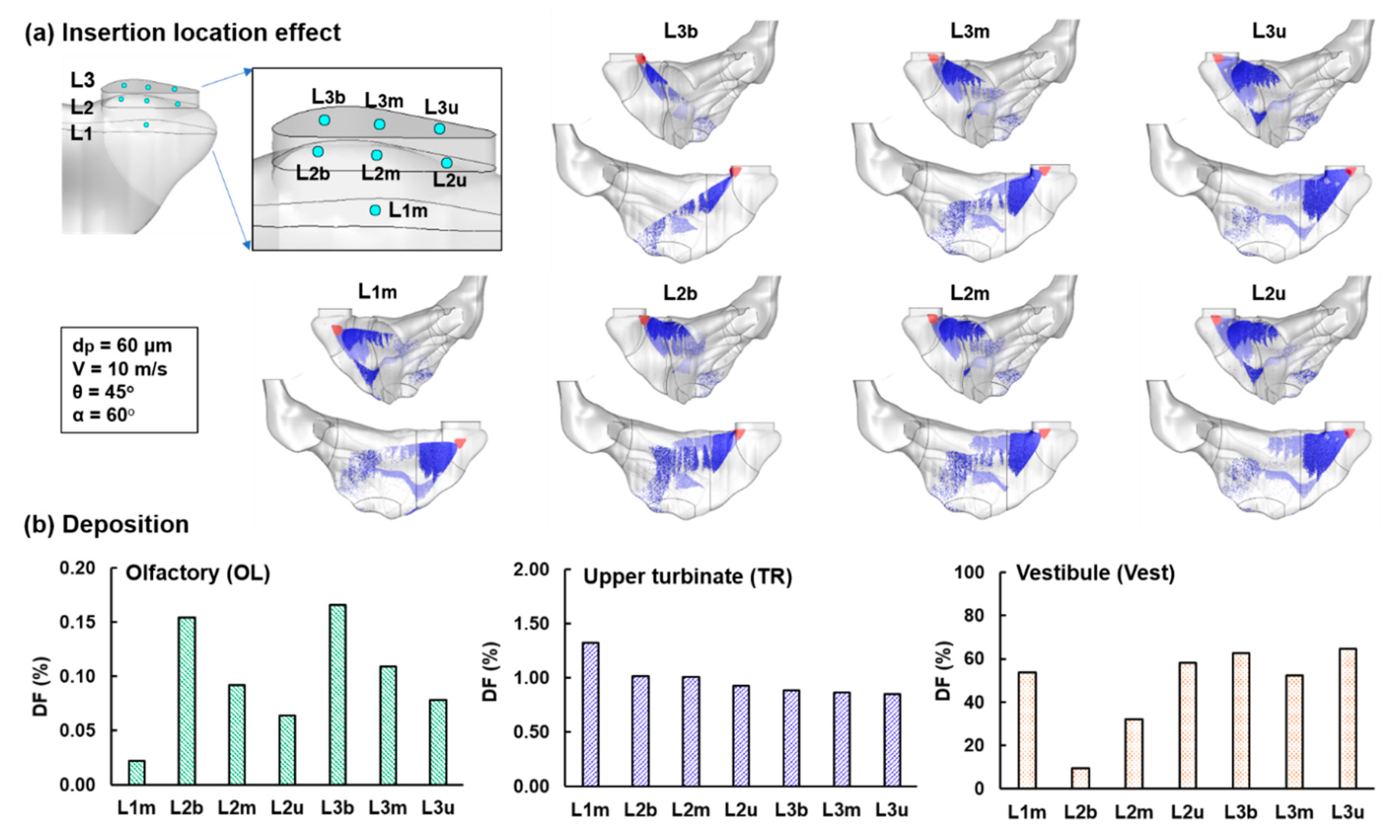 Pharmaceutics 13 00903 g005 Pharmaceutics 13 00903 g005
