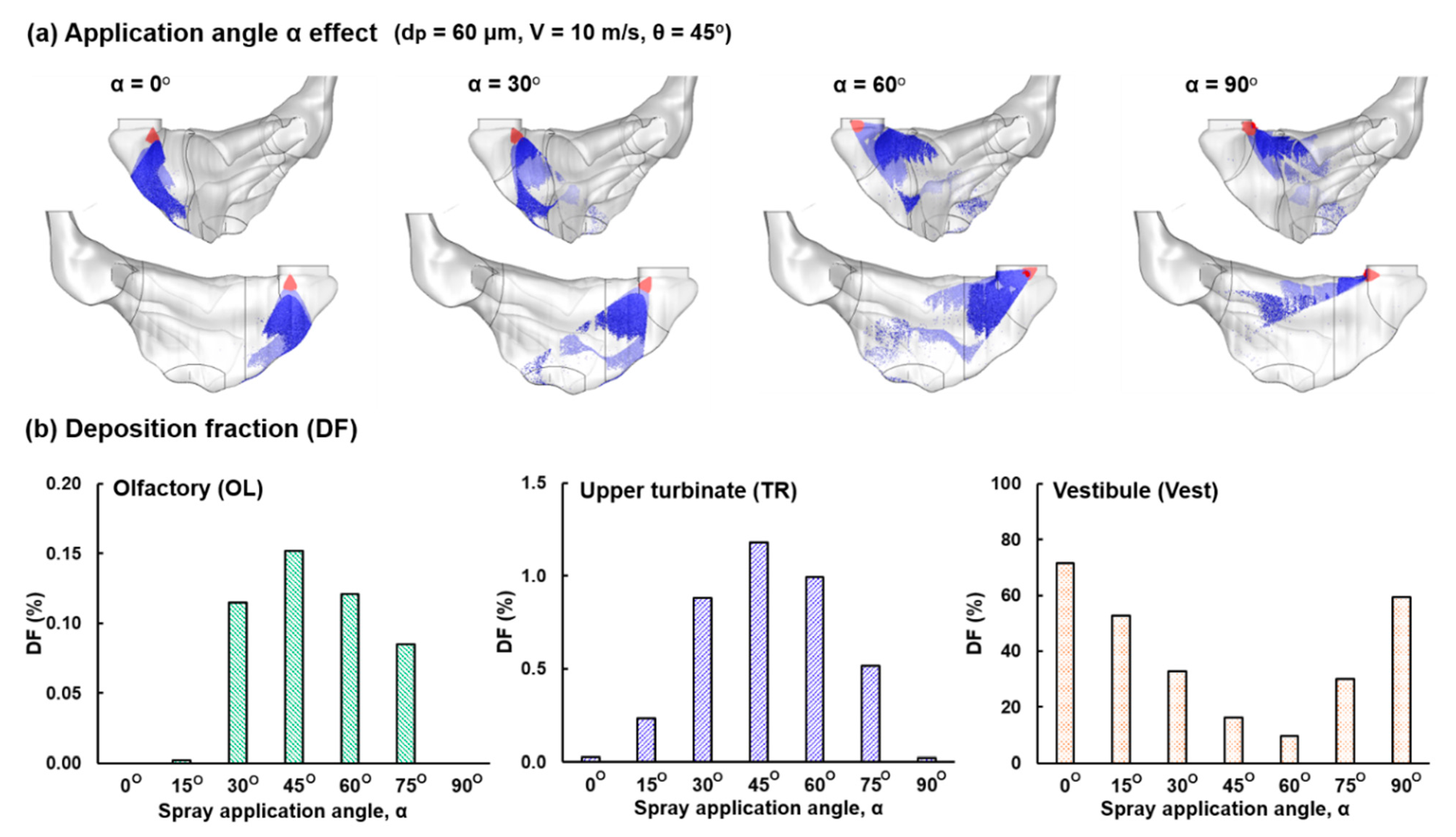 Pharmaceutics 13 00903 g006 Pharmaceutics 13 00903 g006