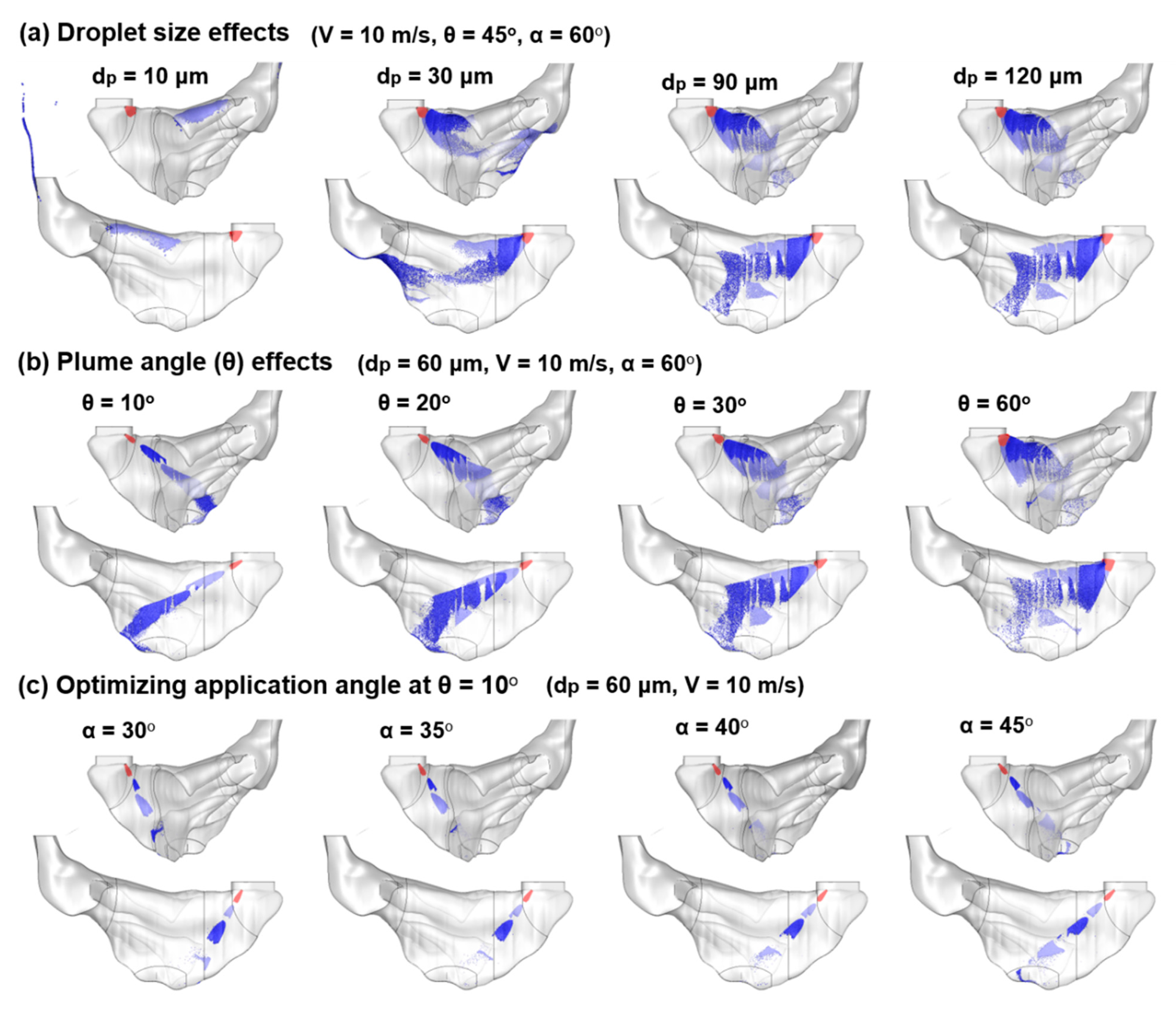 Pharmaceutics 13 00903 g007 Pharmaceutics 13 00903 g007
