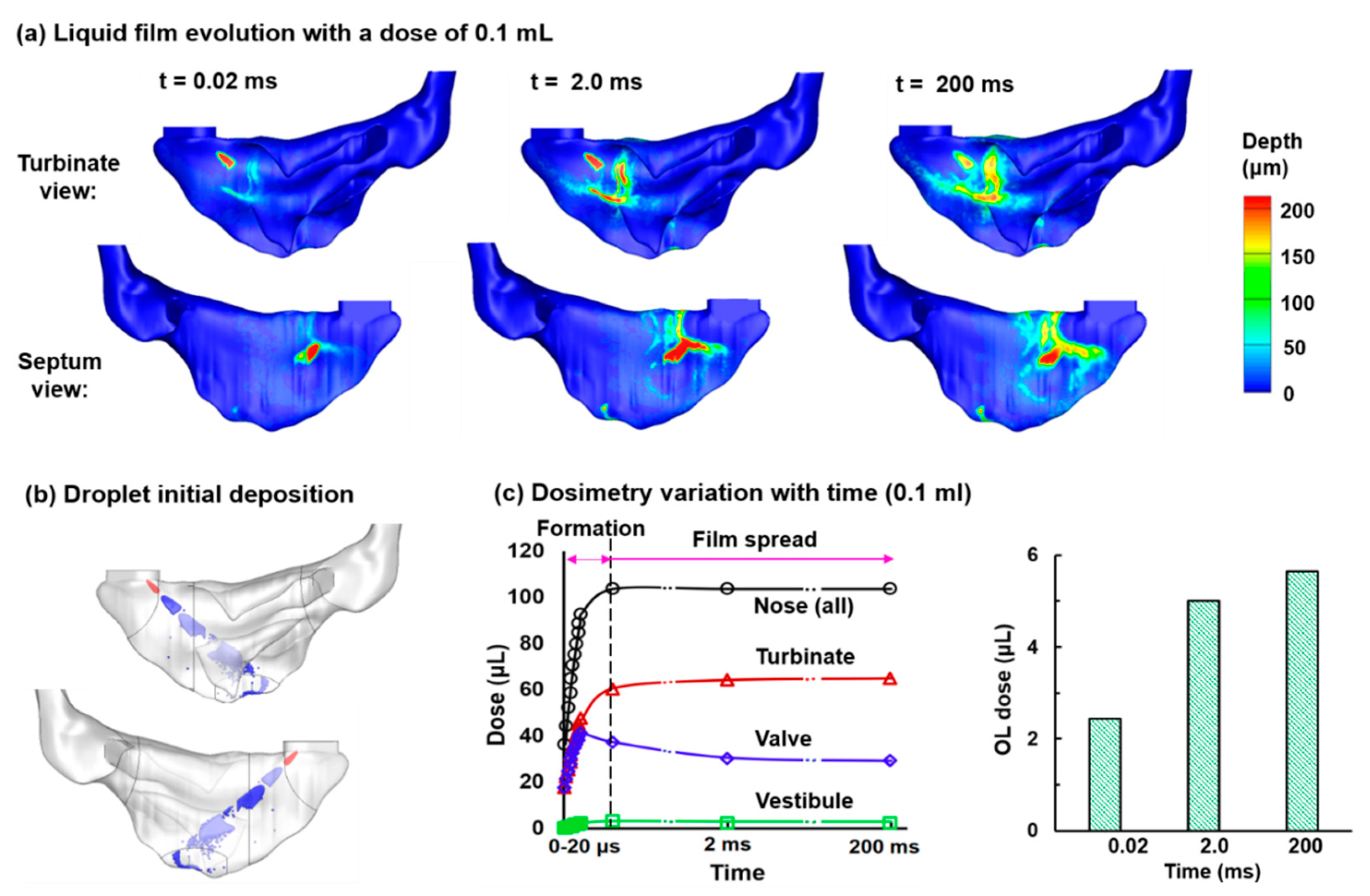 Pharmaceutics 13 00903 g009 Pharmaceutics 13 00903 g009