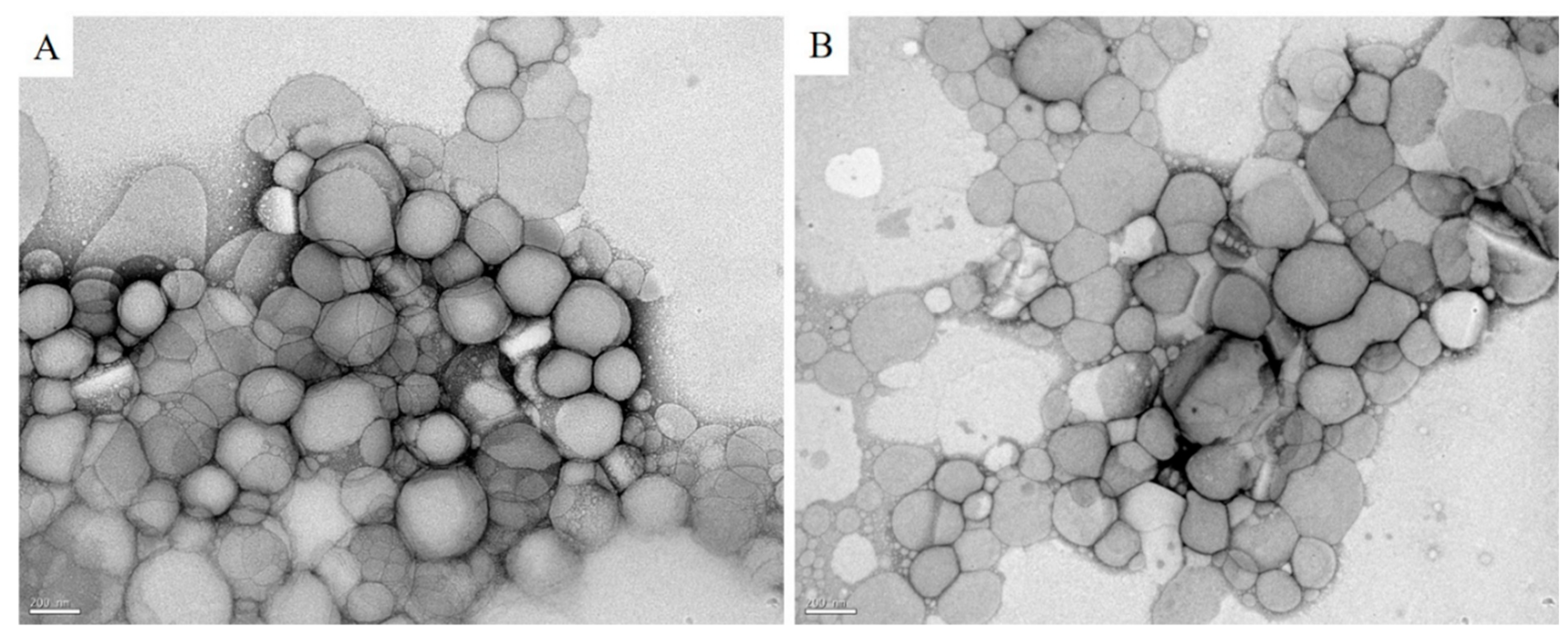 Pharmaceutics 13 00908 g001 Pharmaceutics 13 00908 g001