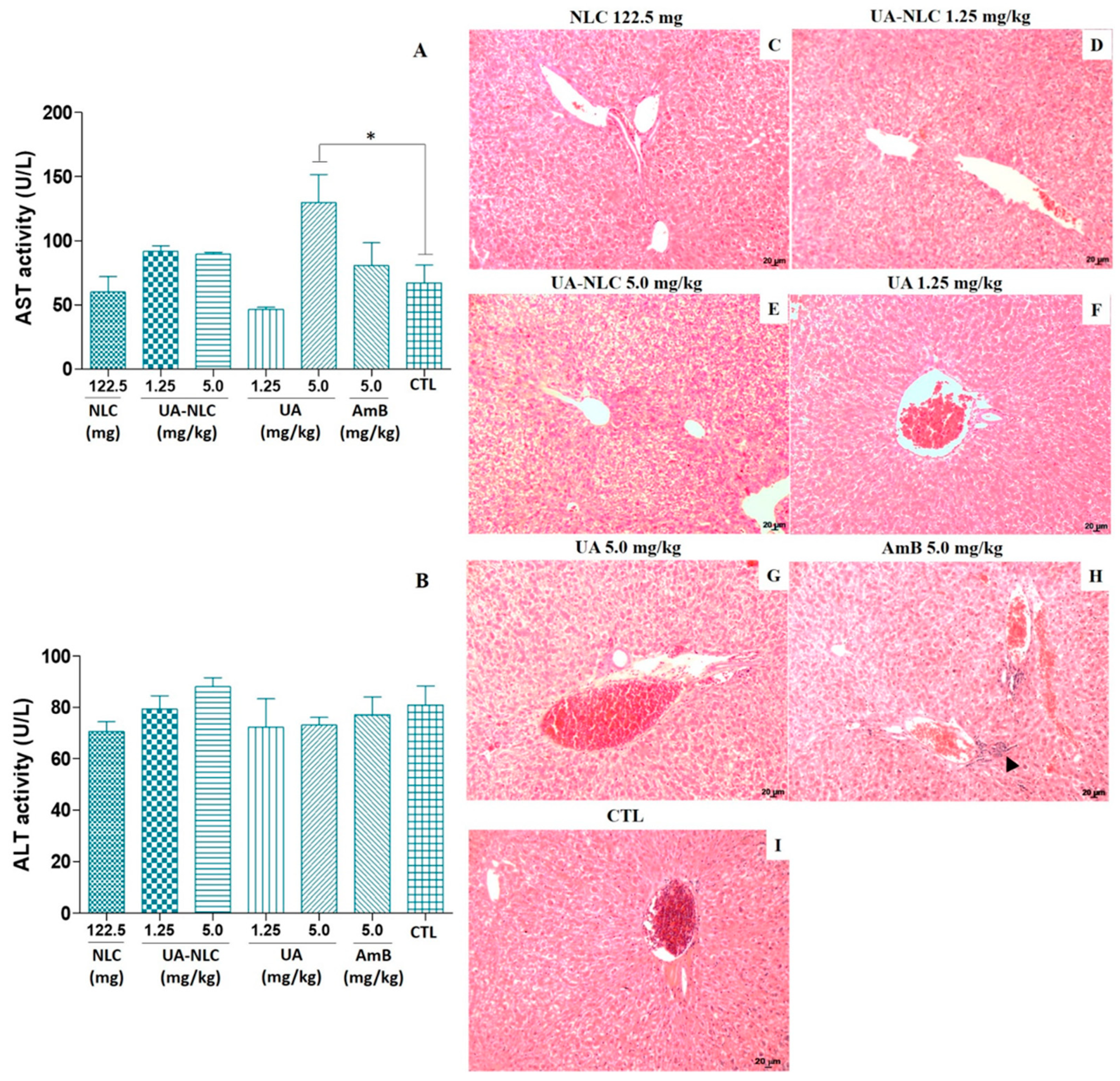 Pharmaceutics 13 00908 g002 Pharmaceutics 13 00908 g002