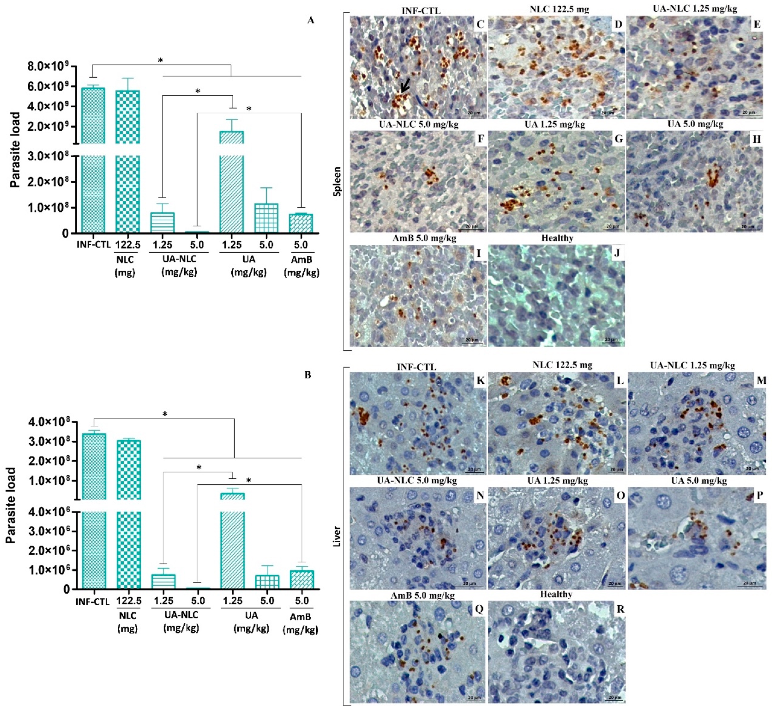 Pharmaceutics 13 00908 g004 Pharmaceutics 13 00908 g004