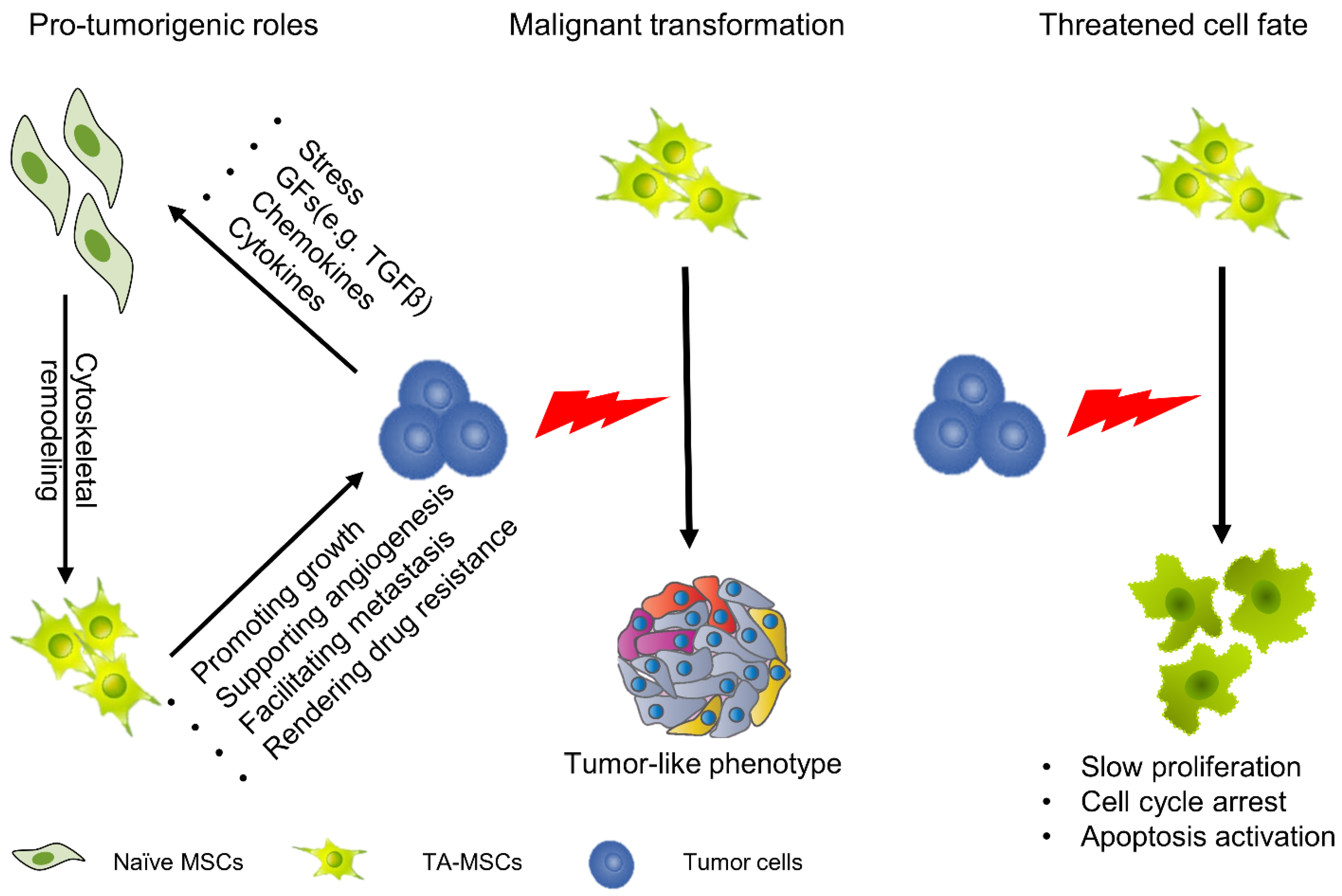 Pharmaceutics 13 00913 g001 Pharmaceutics 13 00913 g001