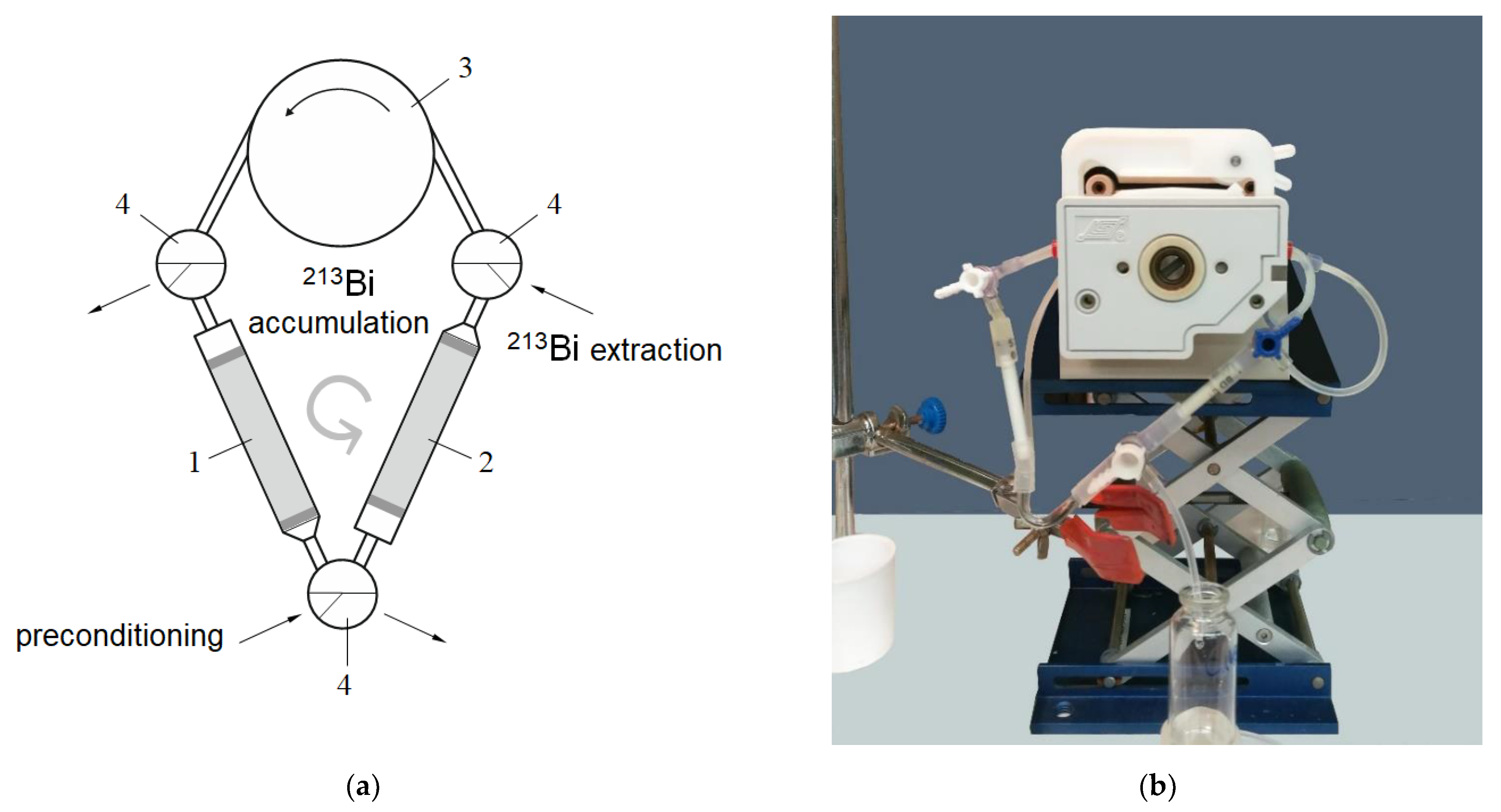 Pharmaceutics 13 00914 g001