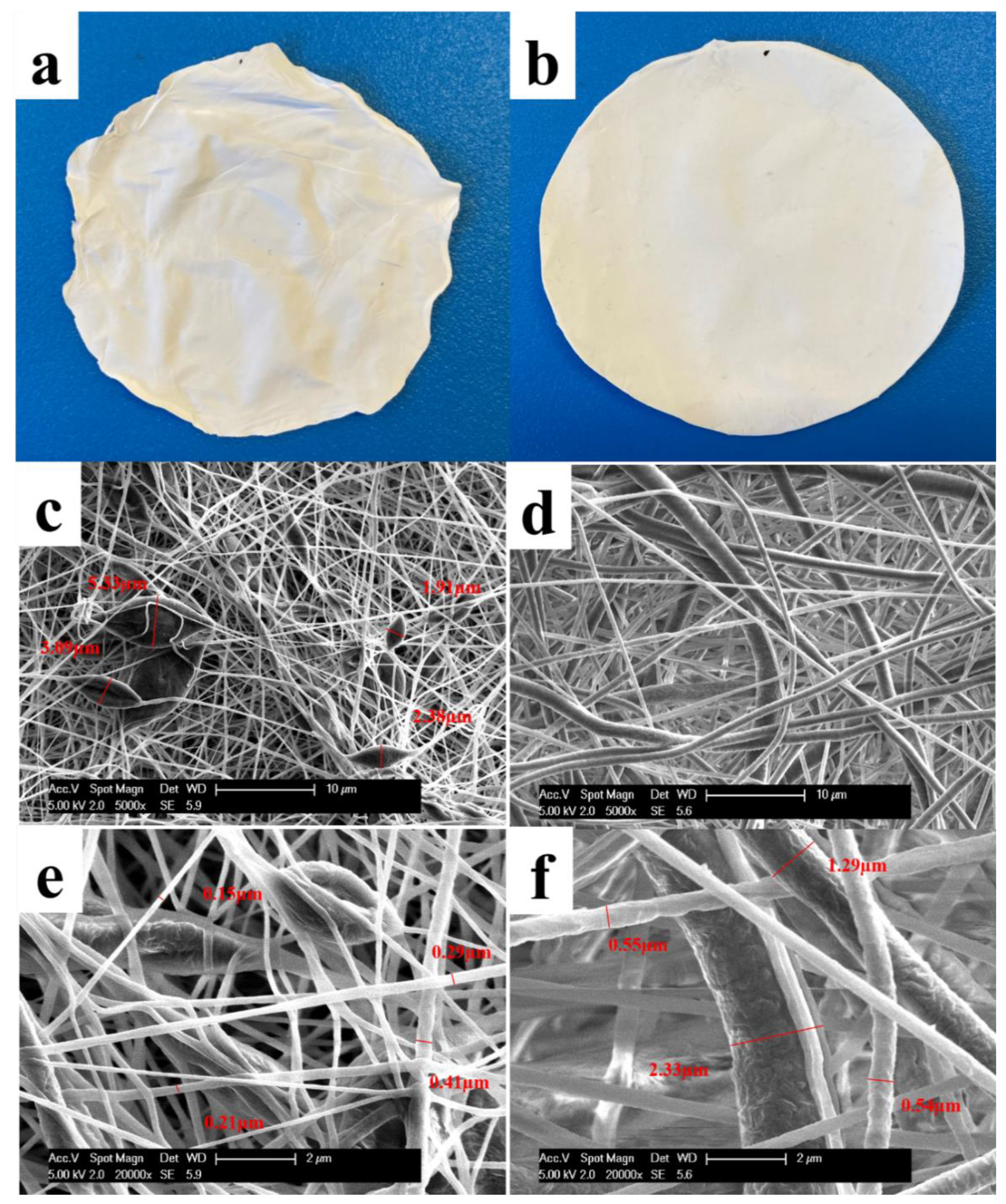 Pharmaceutics 13 00916 g002