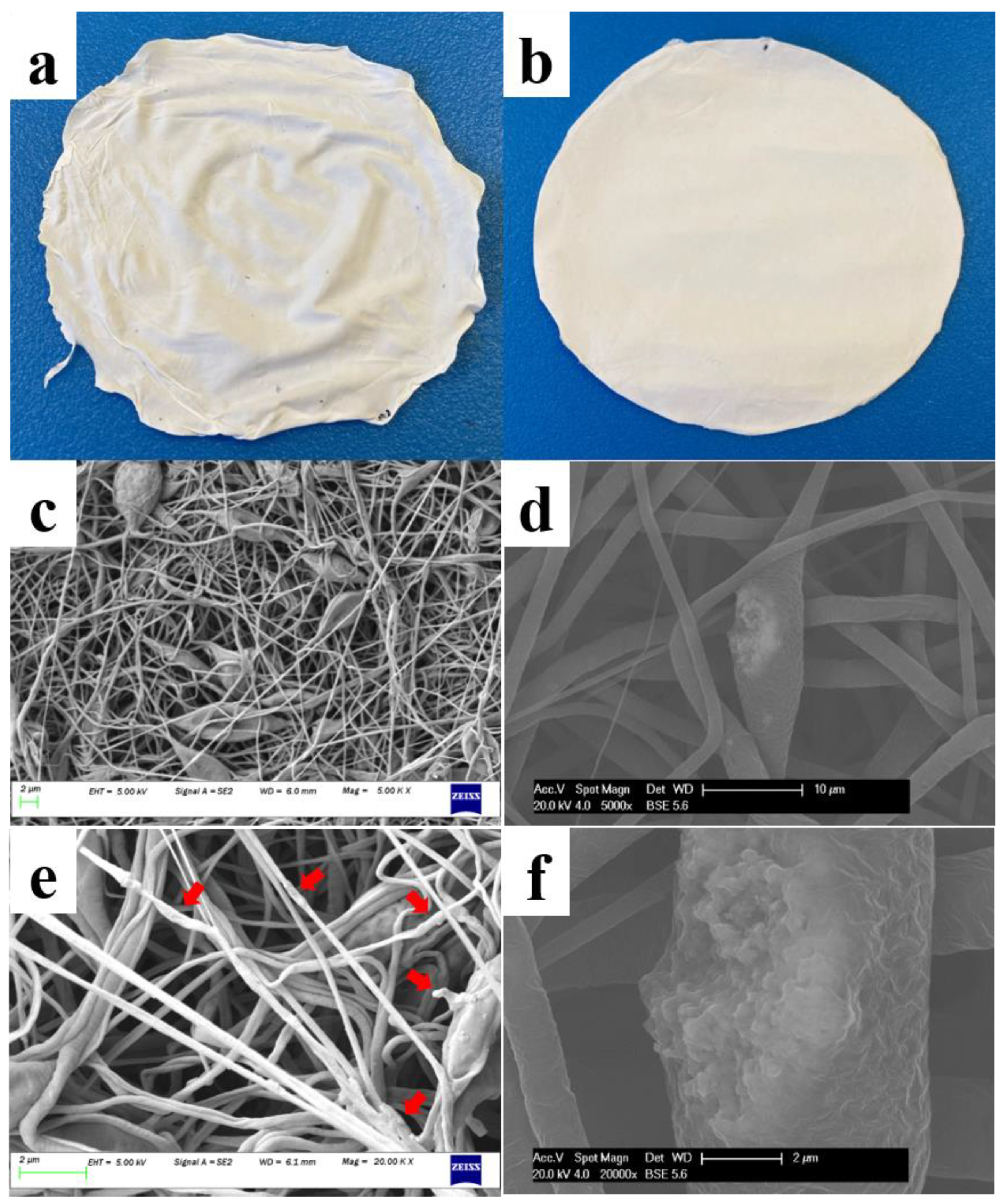 Pharmaceutics 13 00916 g003
