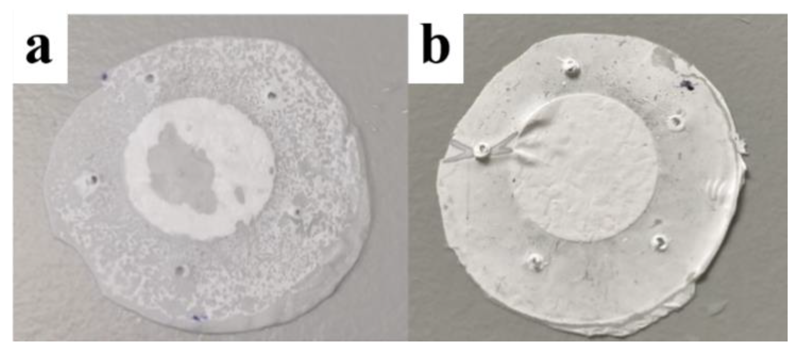 Pharmaceutics 13 00916 g008