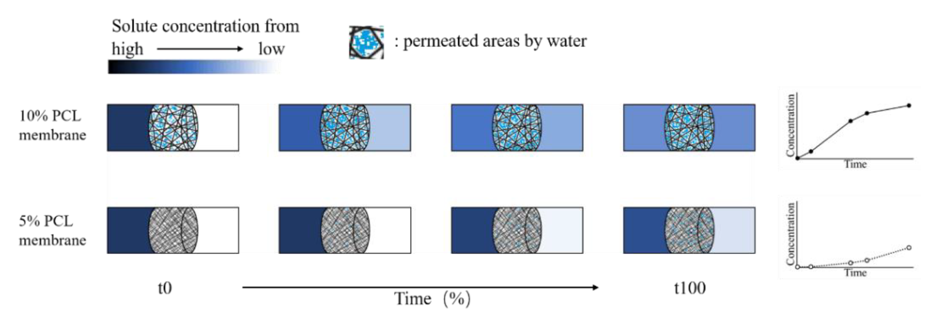 Pharmaceutics 13 00916 g009