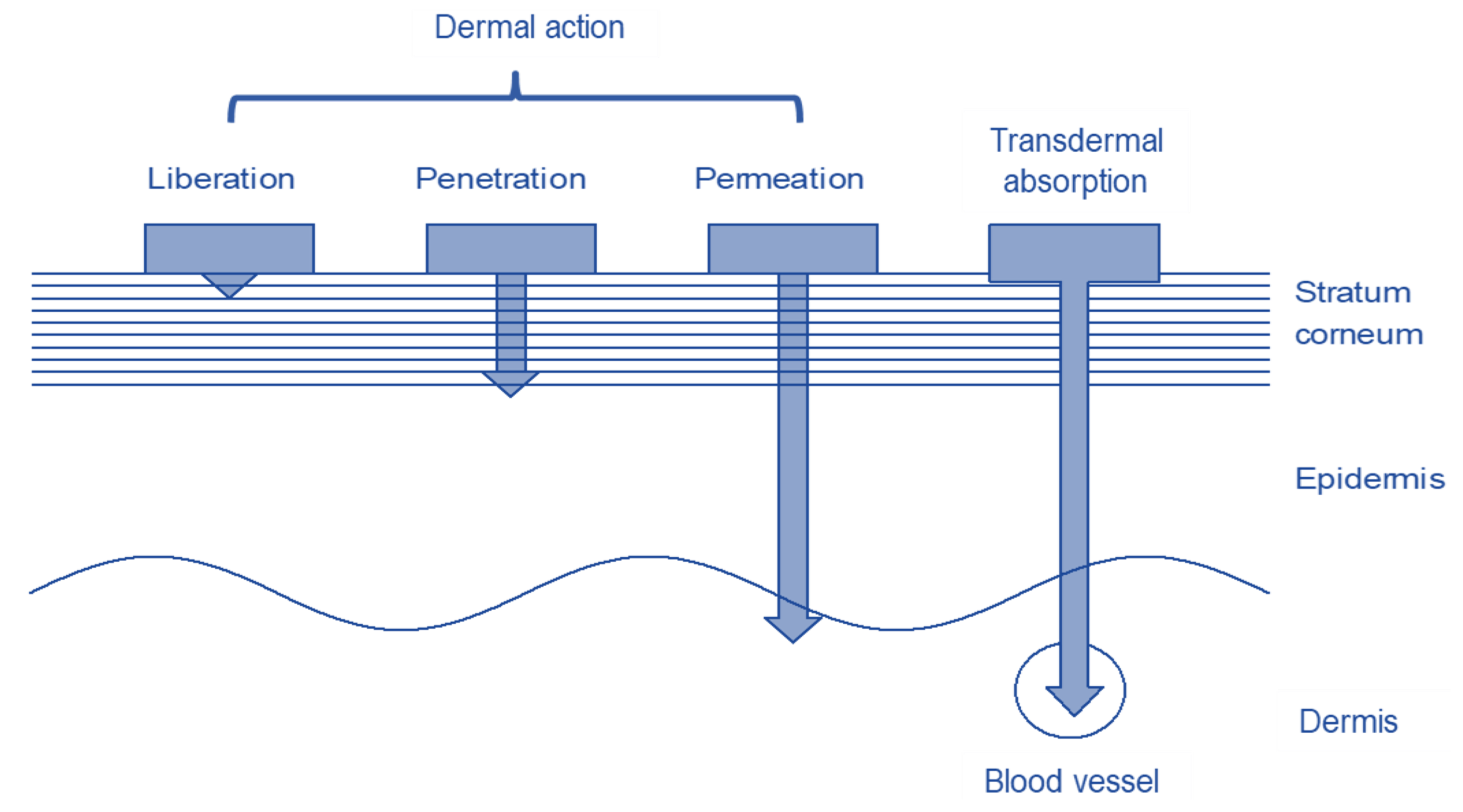 pharmaceutics 13 00932 g001