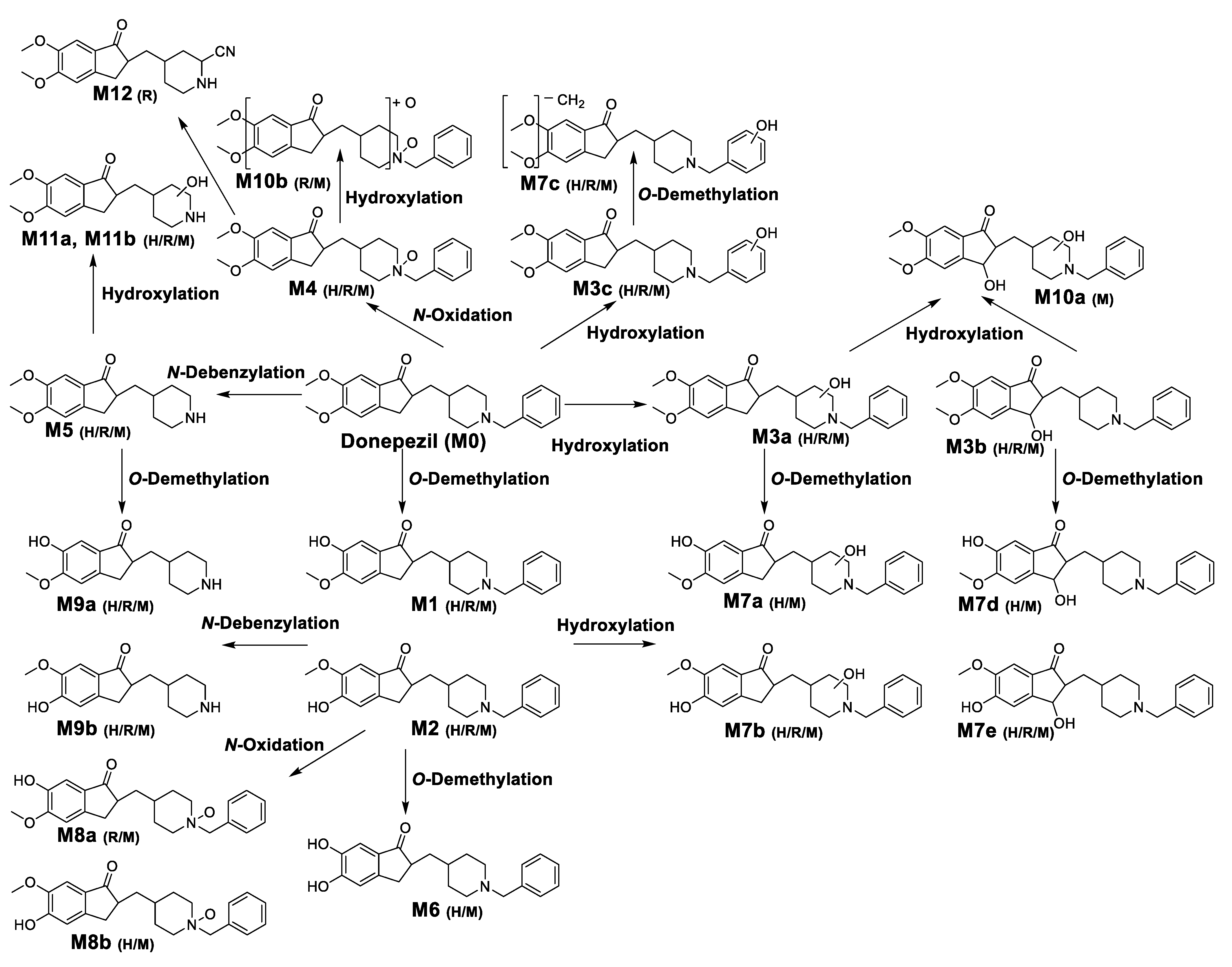 Pharmaceutics 13 00936 g008