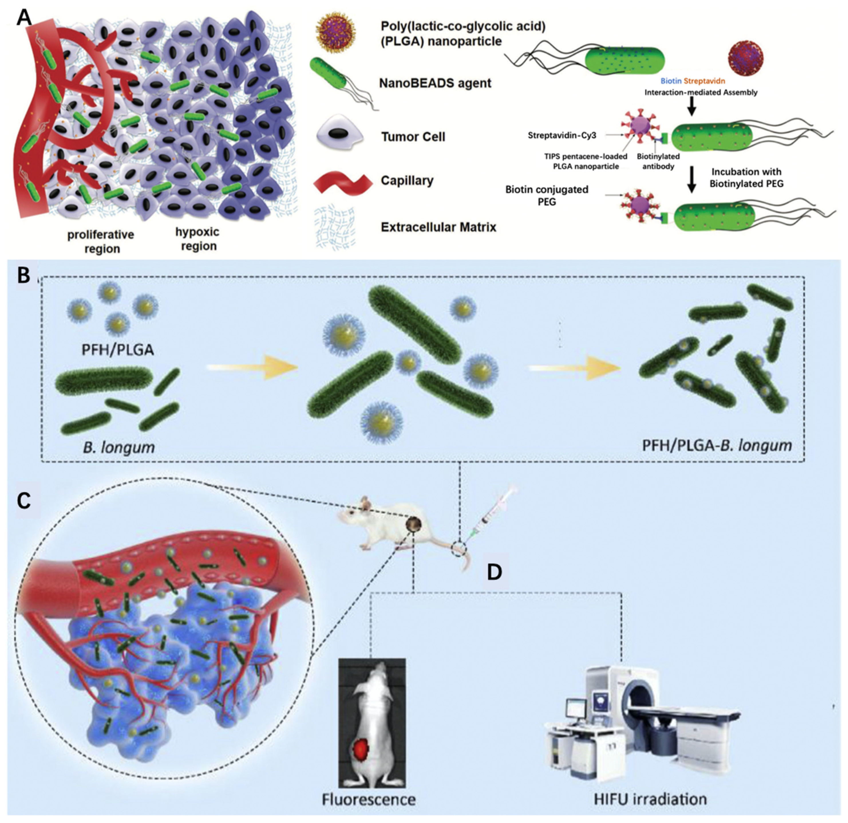 Pharmaceutics 13 00940 g004 Pharmaceutics 13 00940 g004