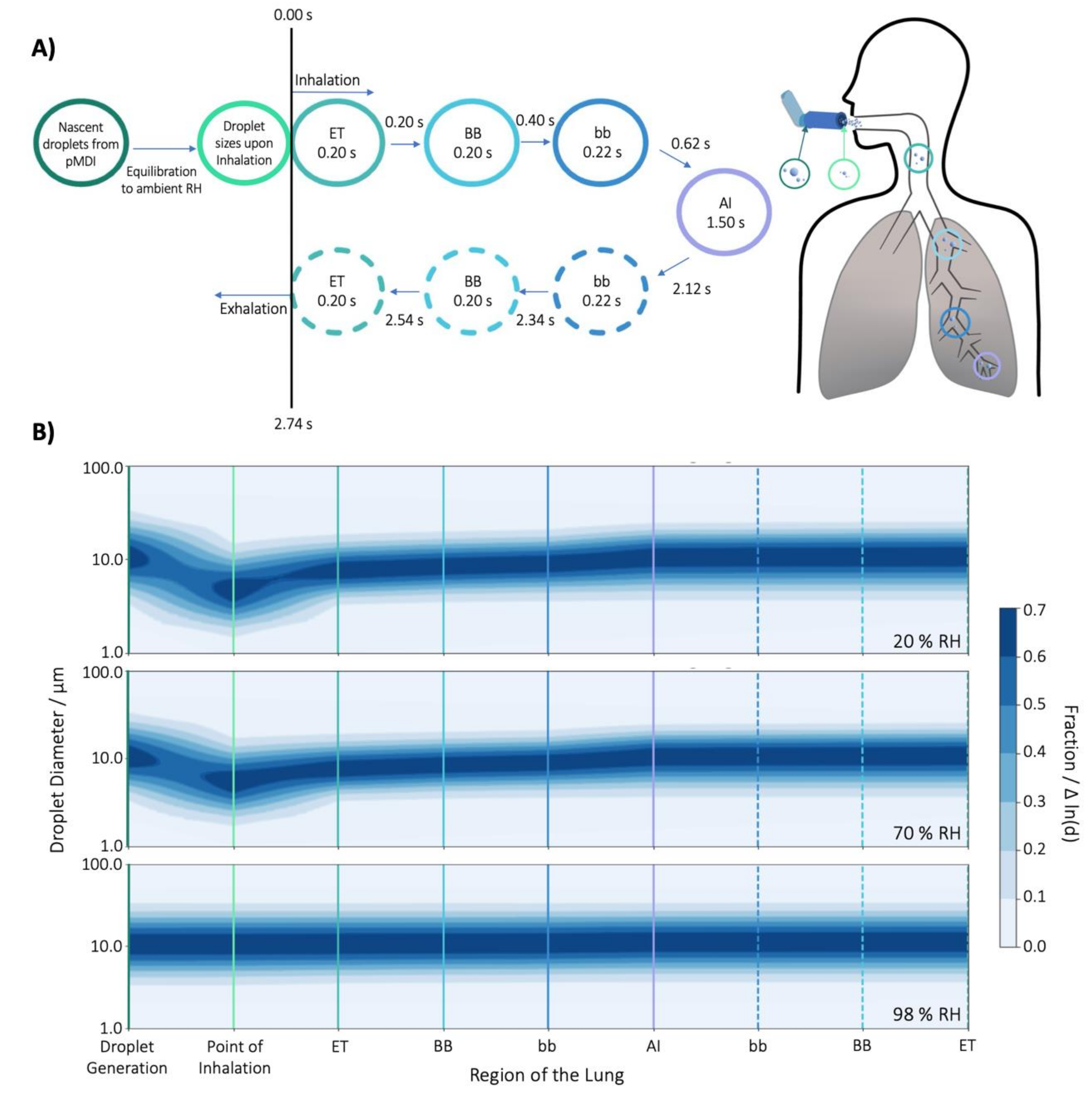 Pharmaceutics 13 00941 g008