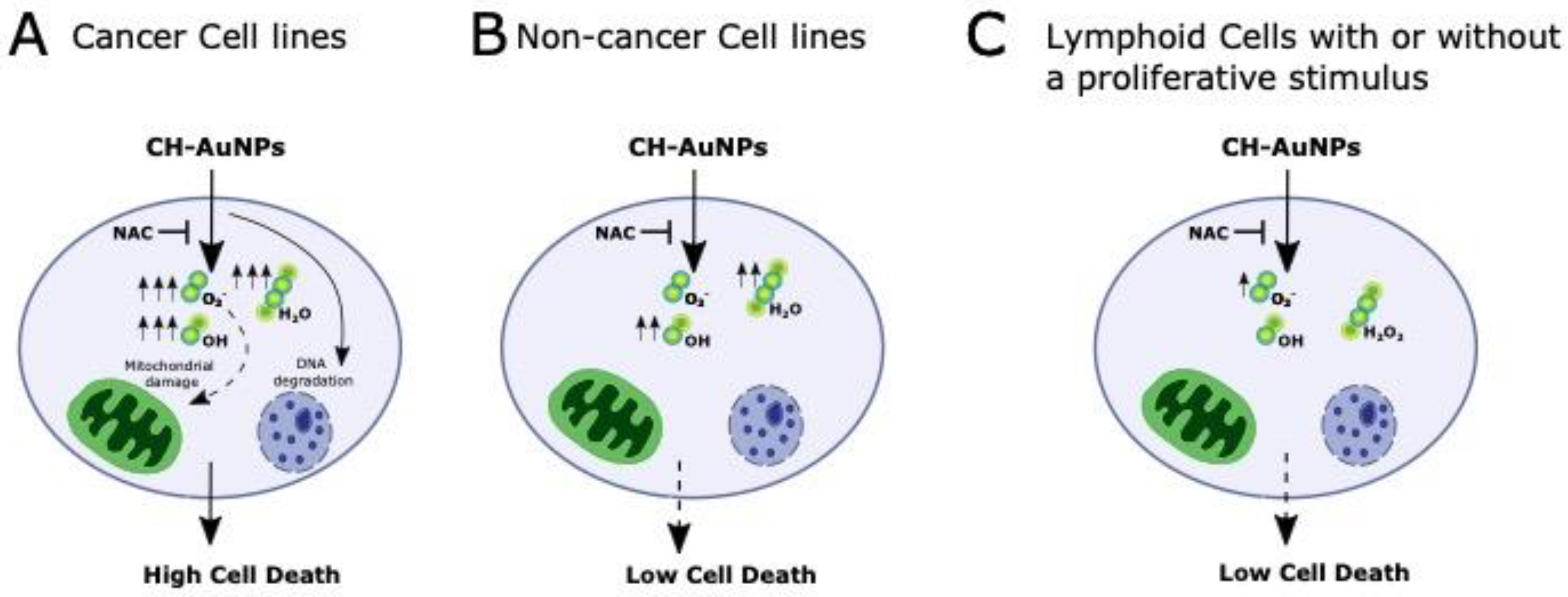 Pharmaceutics 13 00942 g007