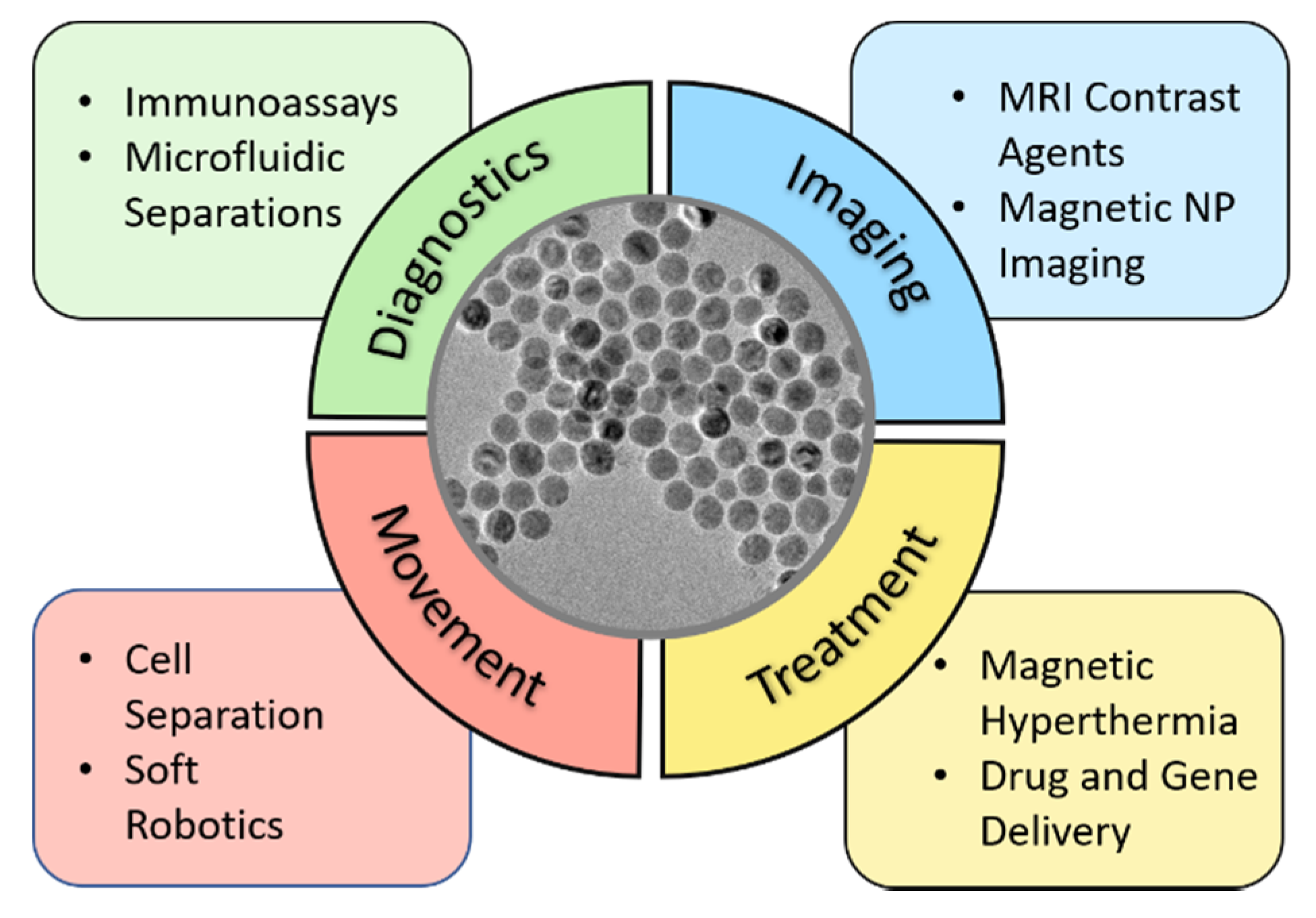 Magnetic Nanoparticles in Biology and Medicine: Past