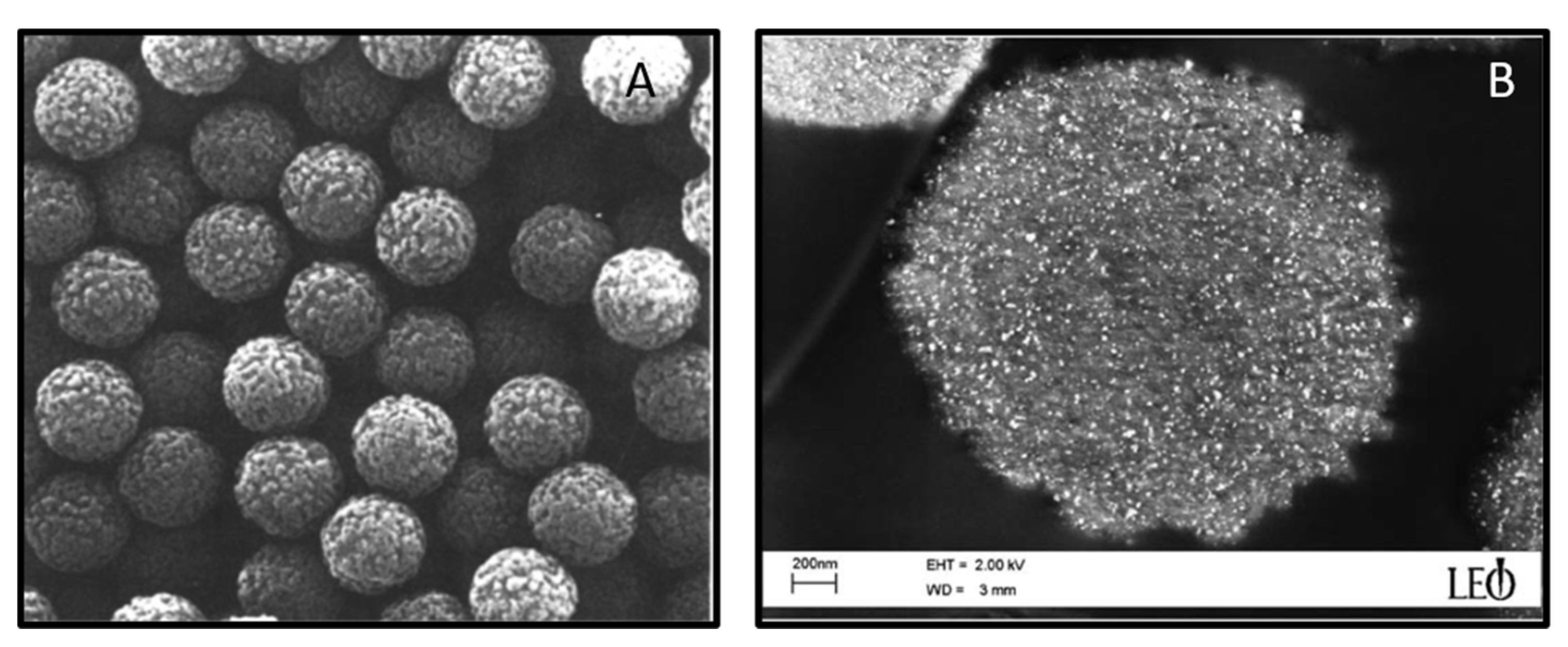 Pharmaceutics 13 00943 g009 550