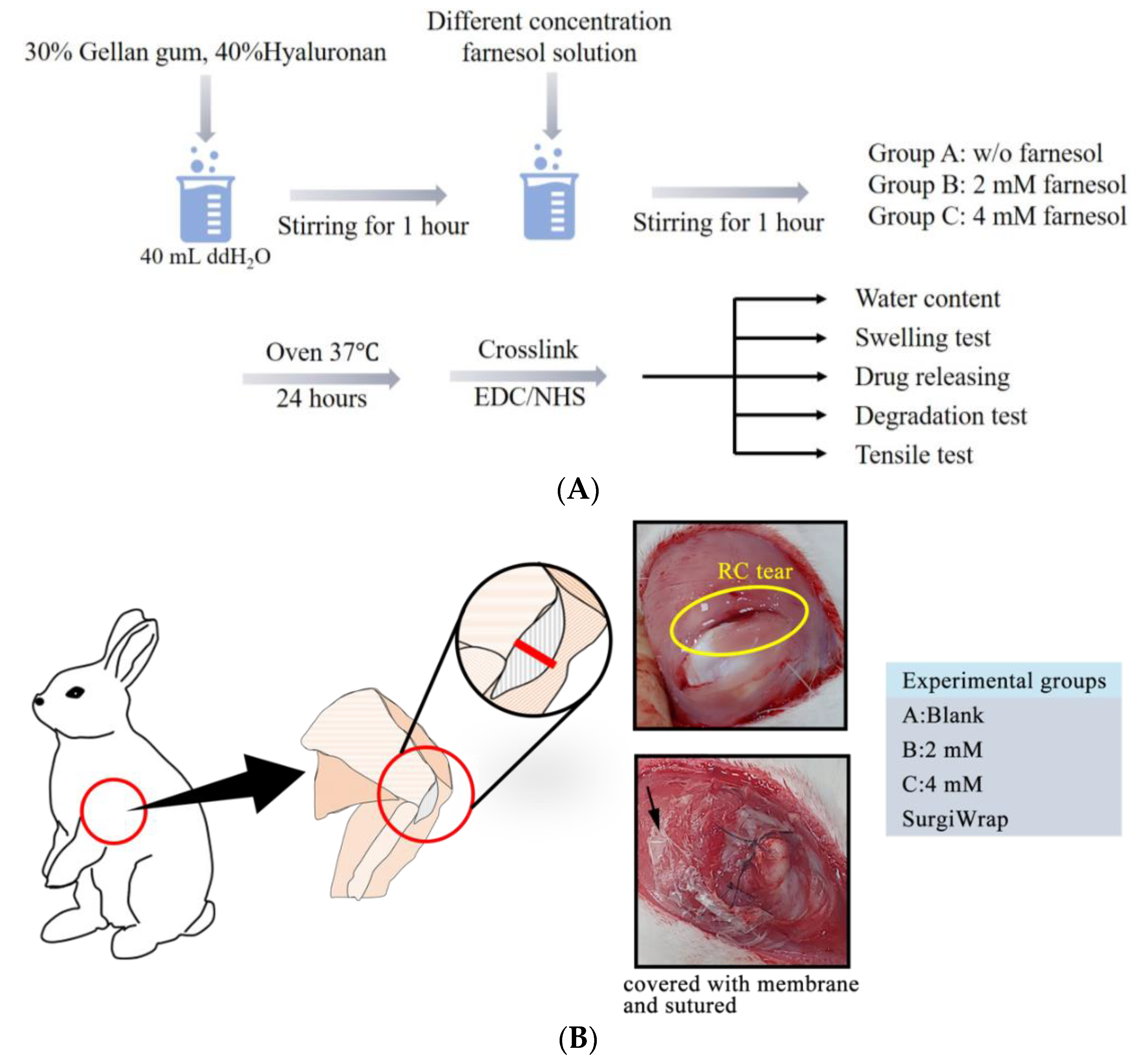 Pharmaceutics 13 00944 g001