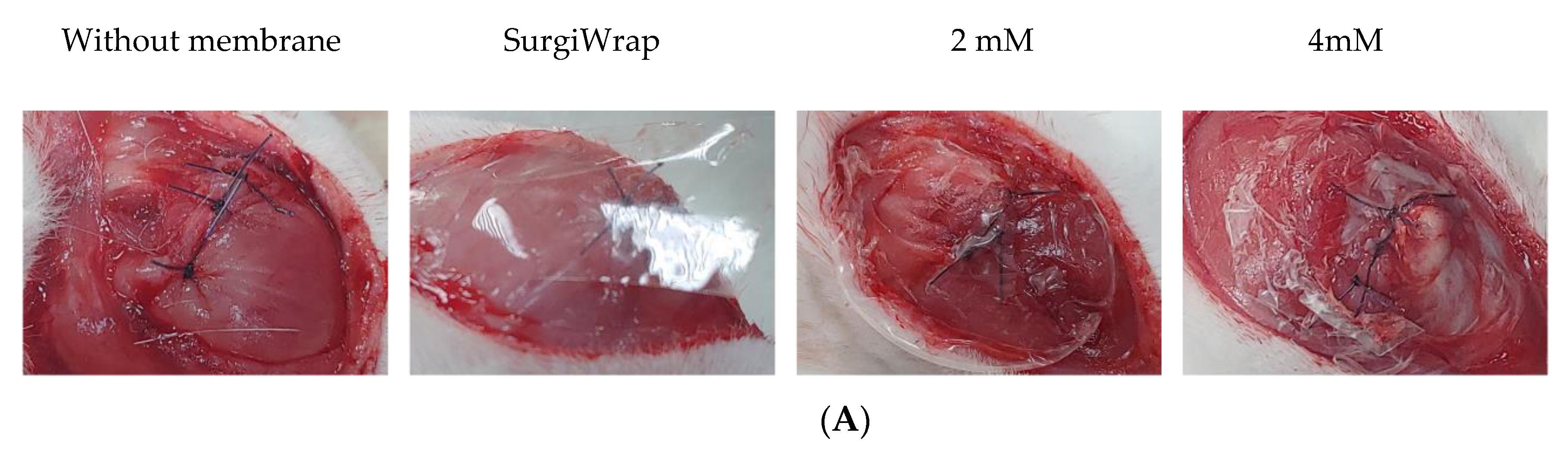 Pharmaceutics 13 00944 g003a