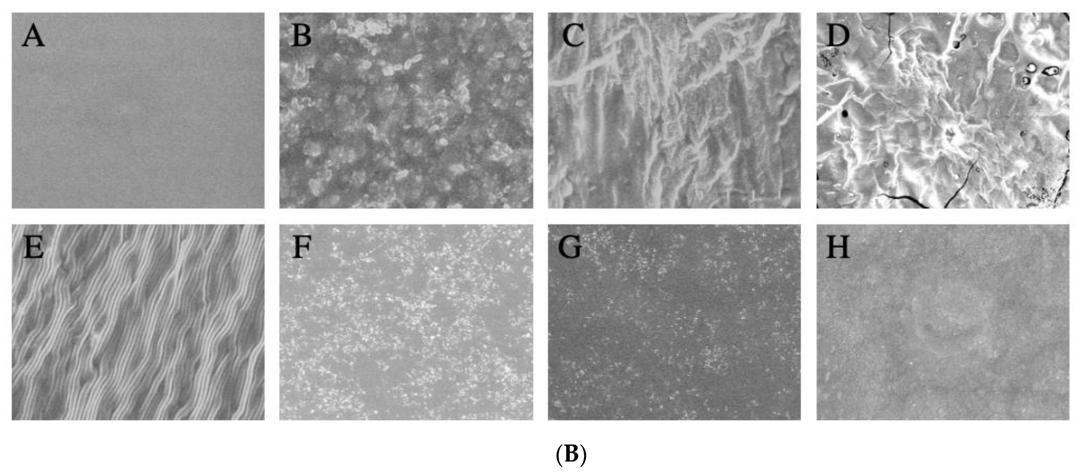 Pharmaceutics 13 00944 g003b