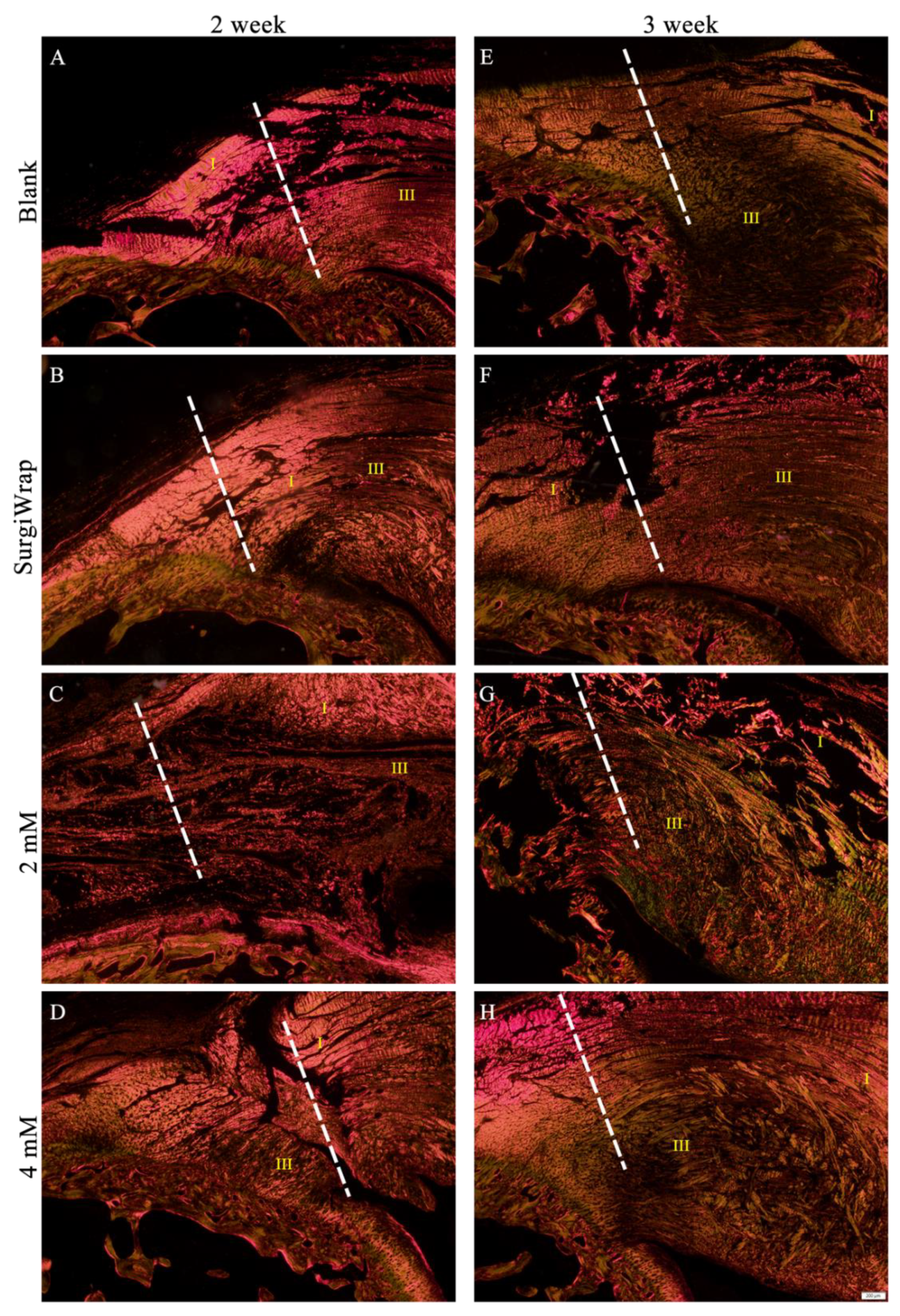 Pharmaceutics 13 00944 g008