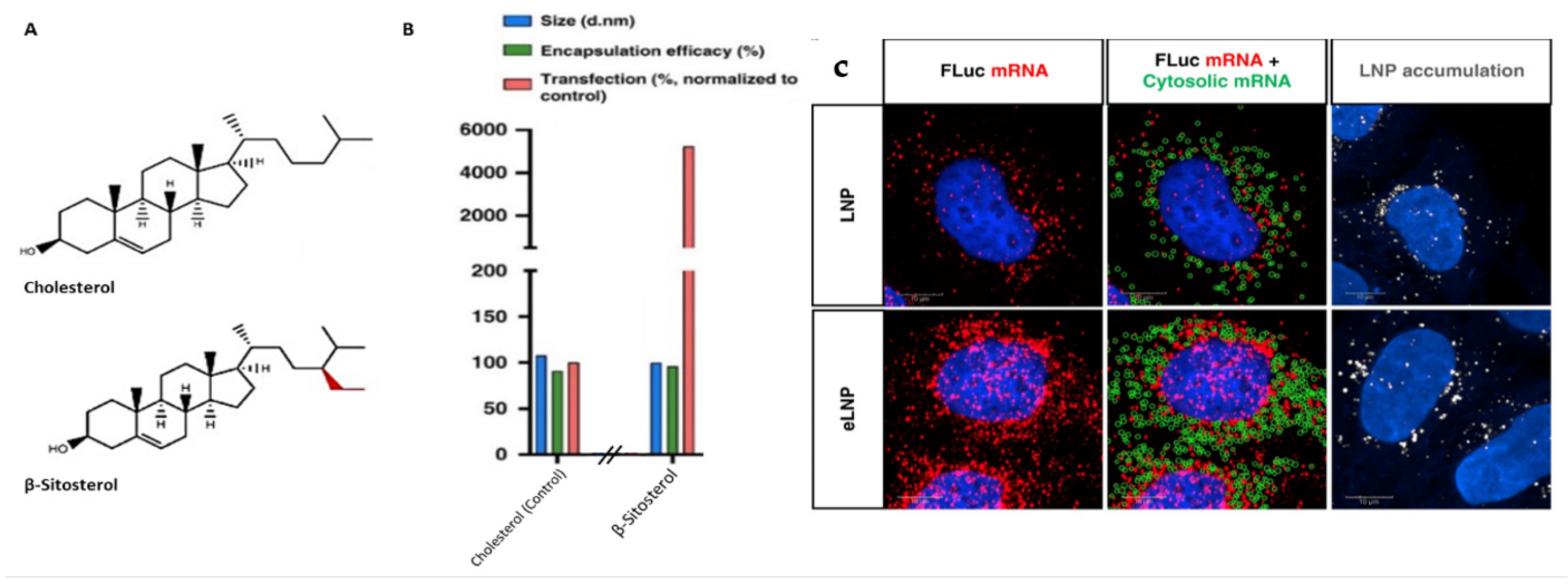 Pharmaceutics 13 00945 g006