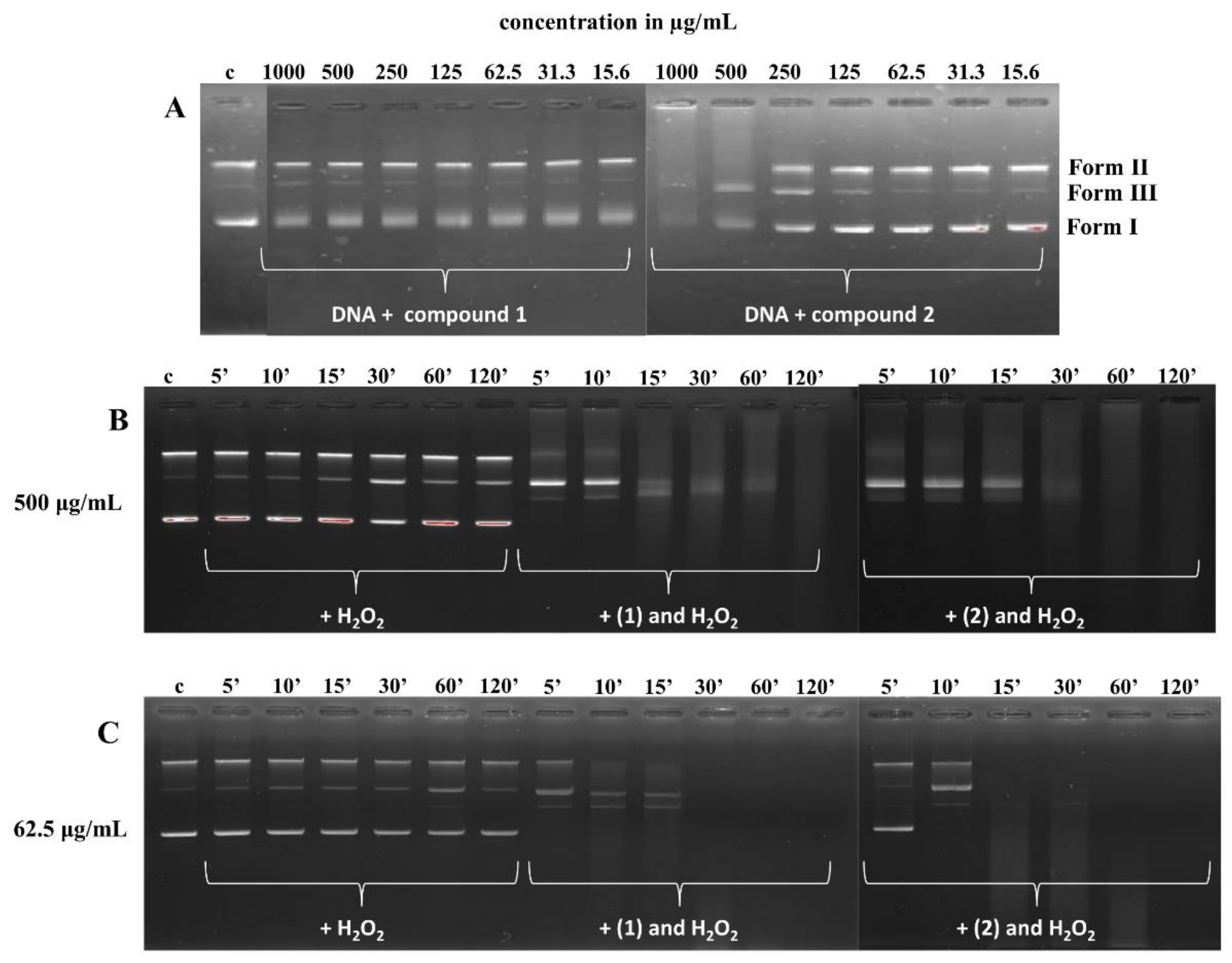 Pharmaceutics 13 00946 g008 Pharmaceutics 13 00946 g008