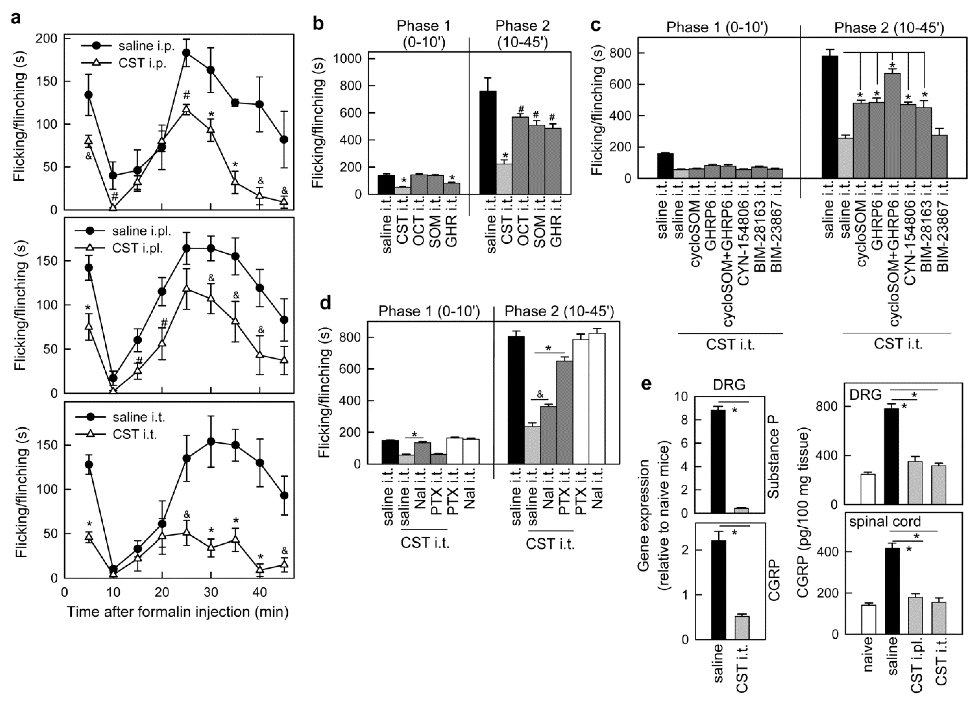 Pharmaceutics 13 00947 g001 550