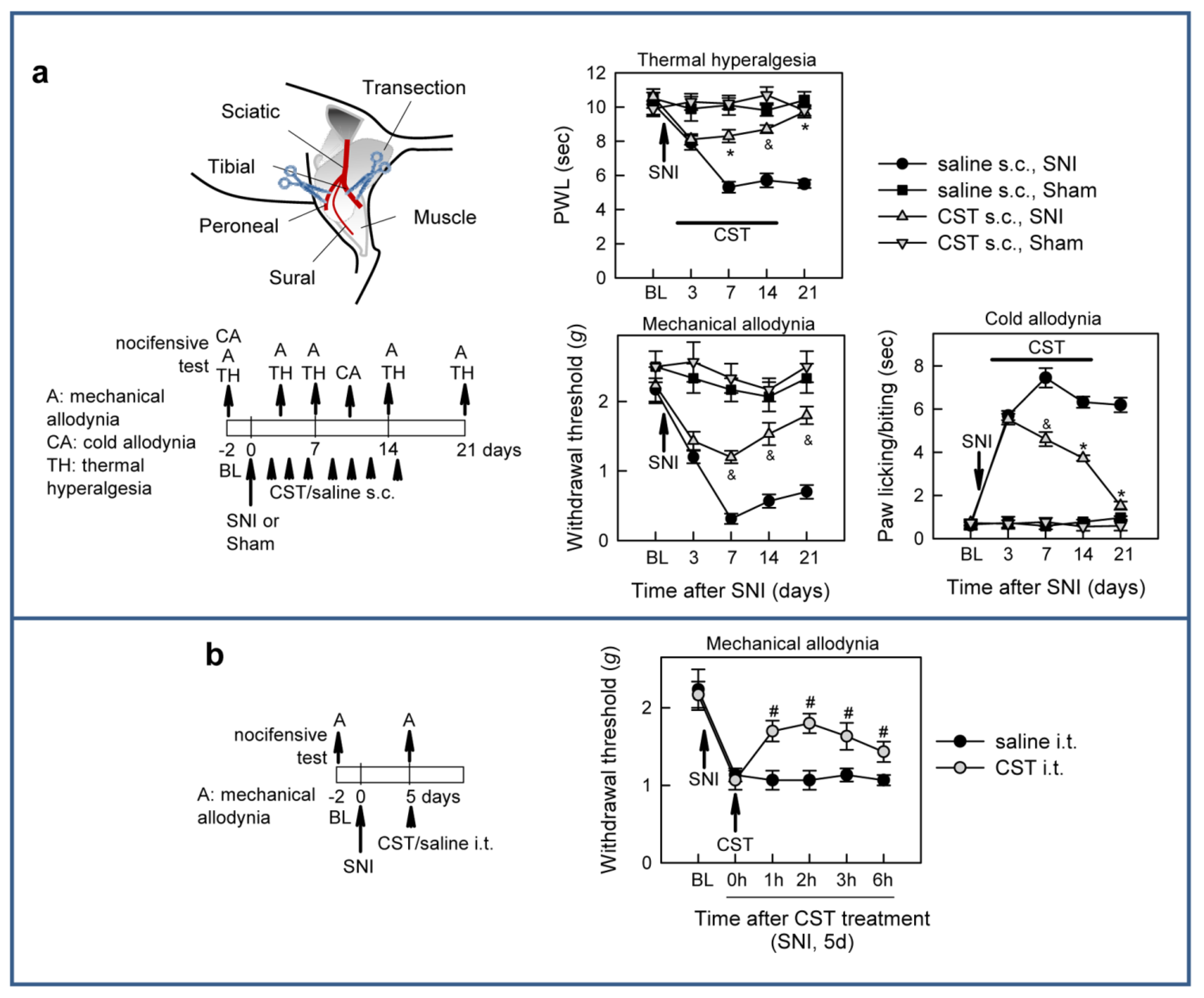 Pharmaceutics 13 00947 g003 550