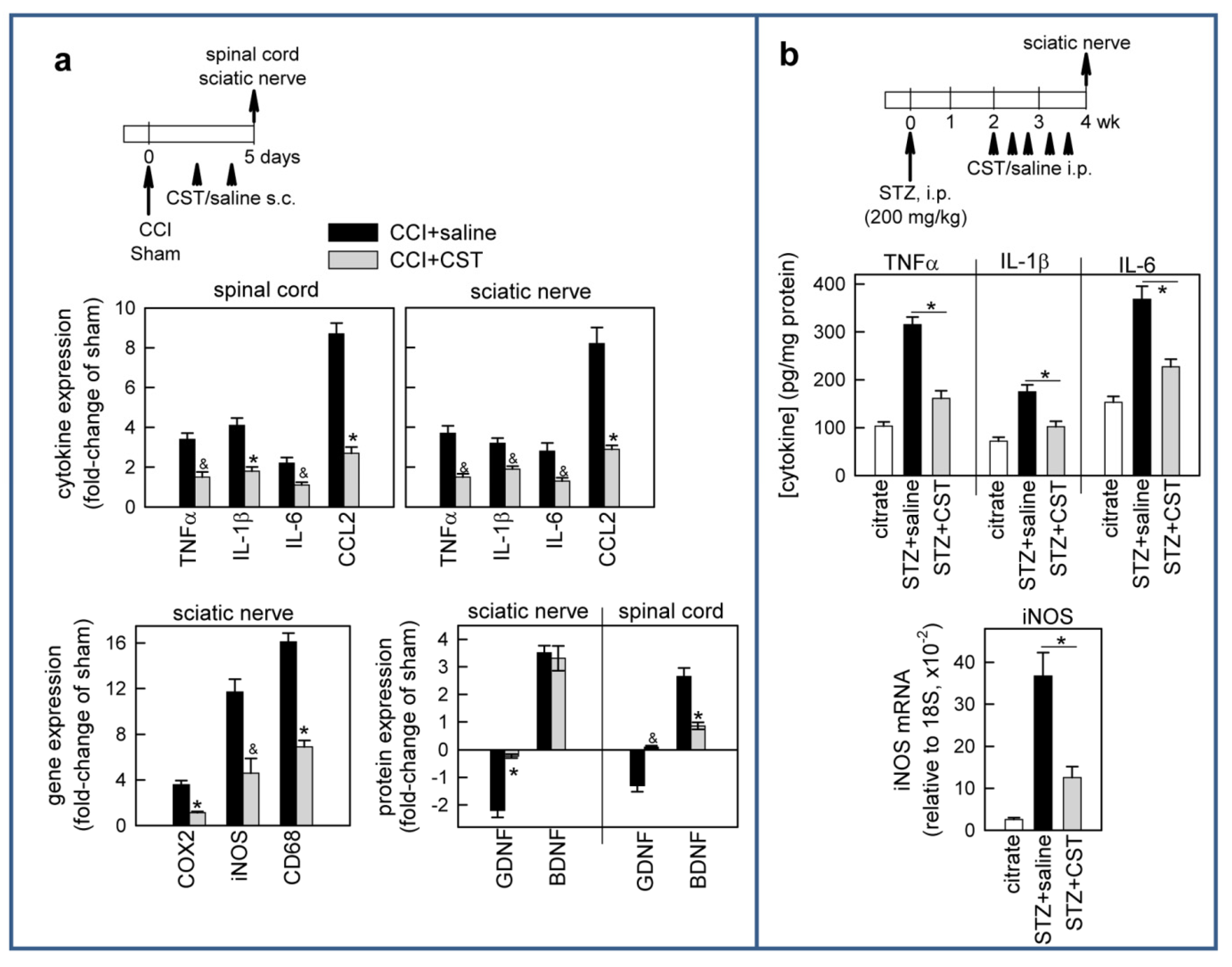 Pharmaceutics 13 00947 g005 550