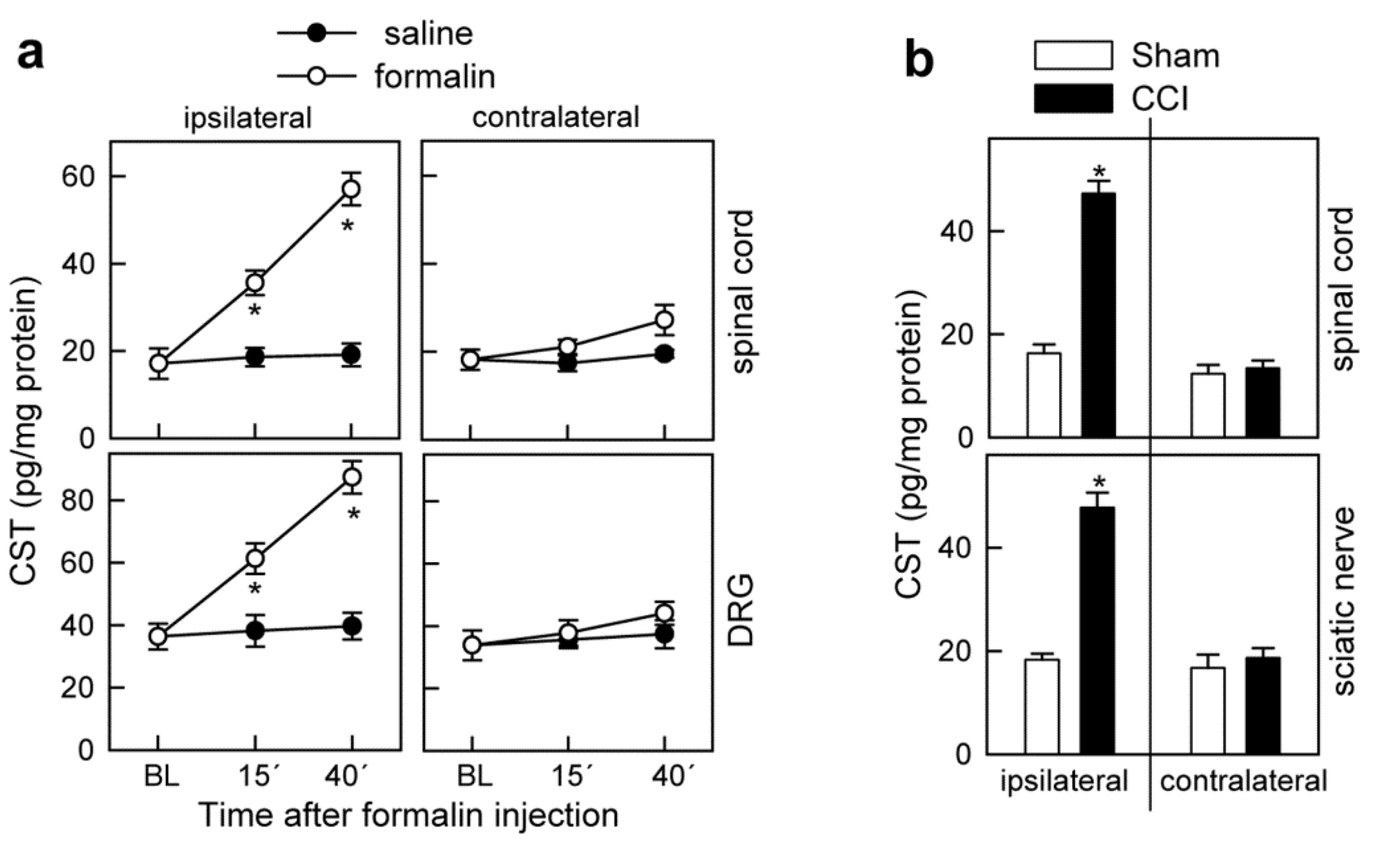 Pharmaceutics 13 00947 g006 550